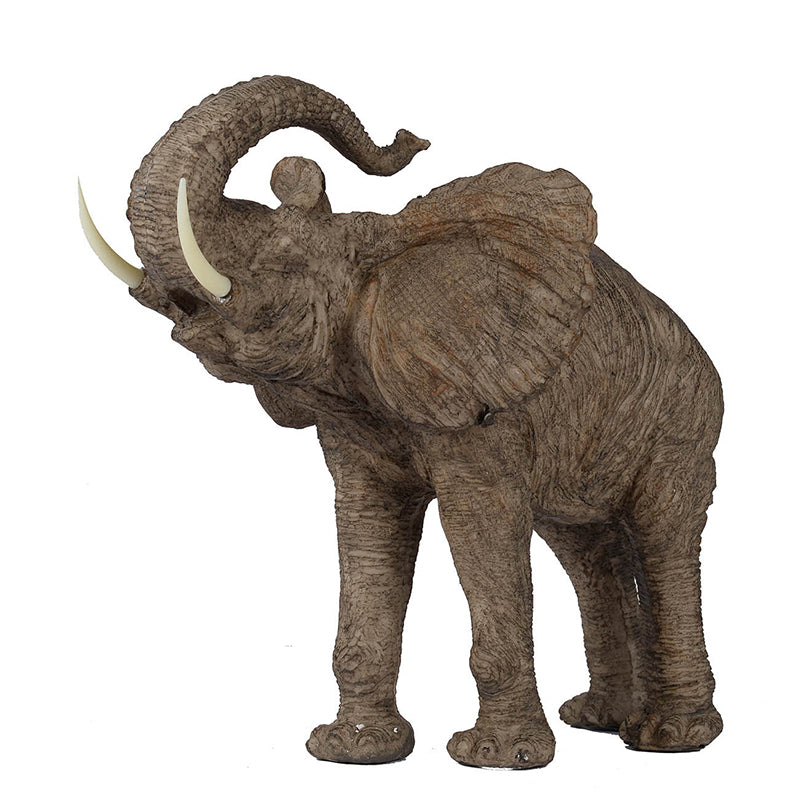 Trumpeting Elephant Accent