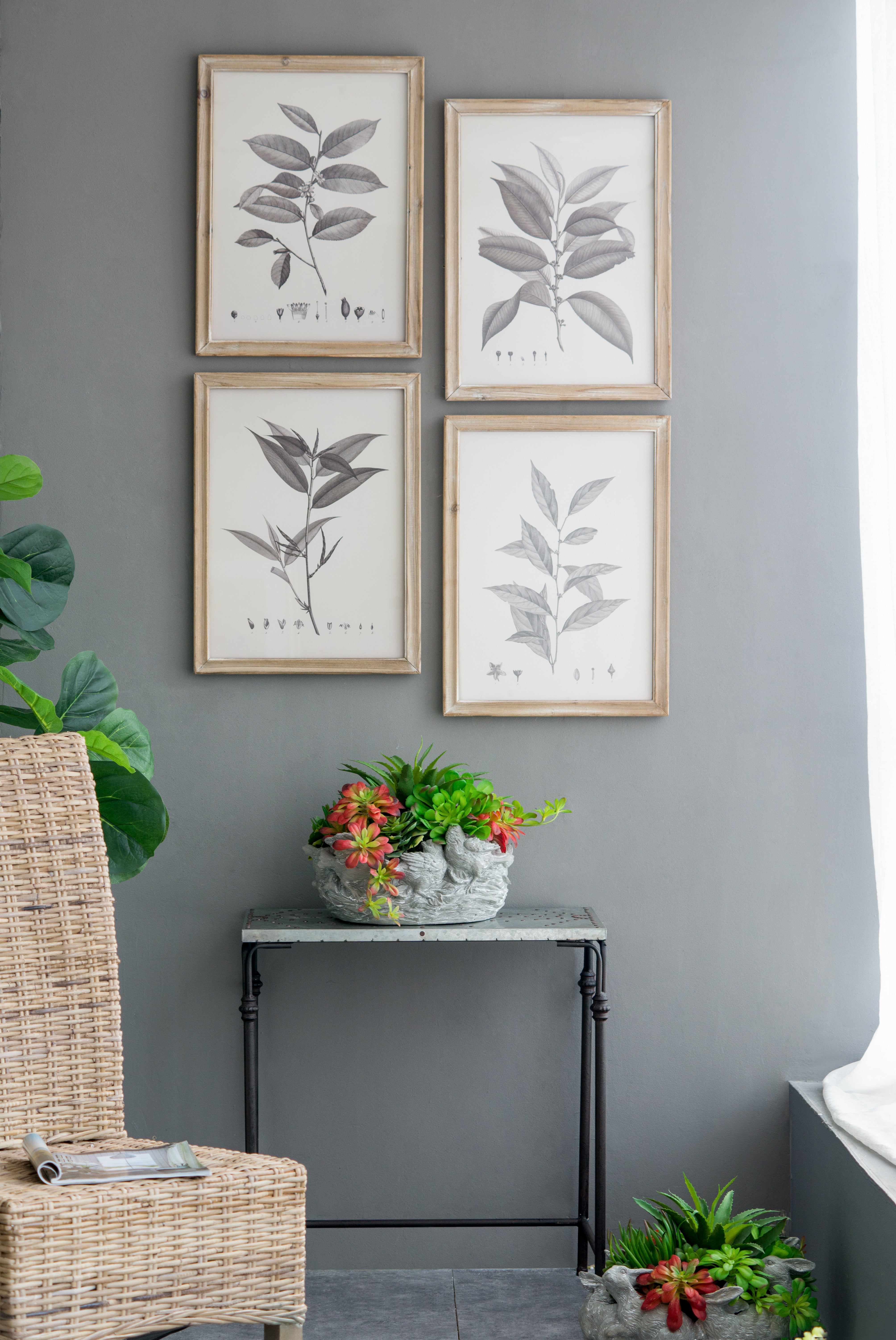 Botanical Wall Décor, Set of 4