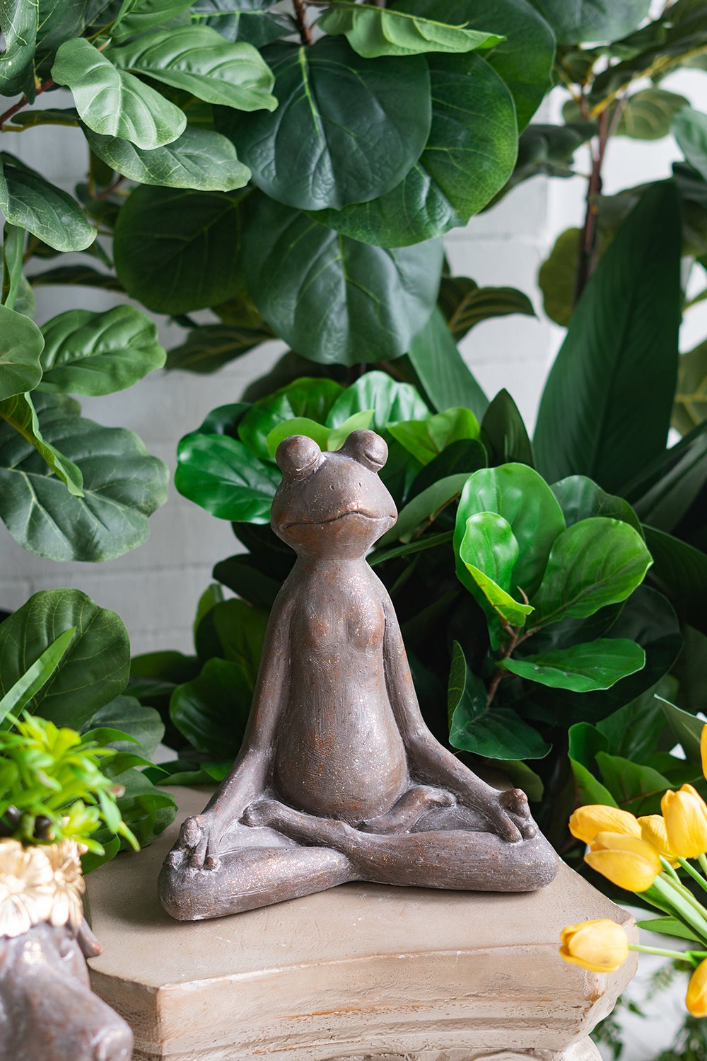 Yoga Frog in Lotus Pose