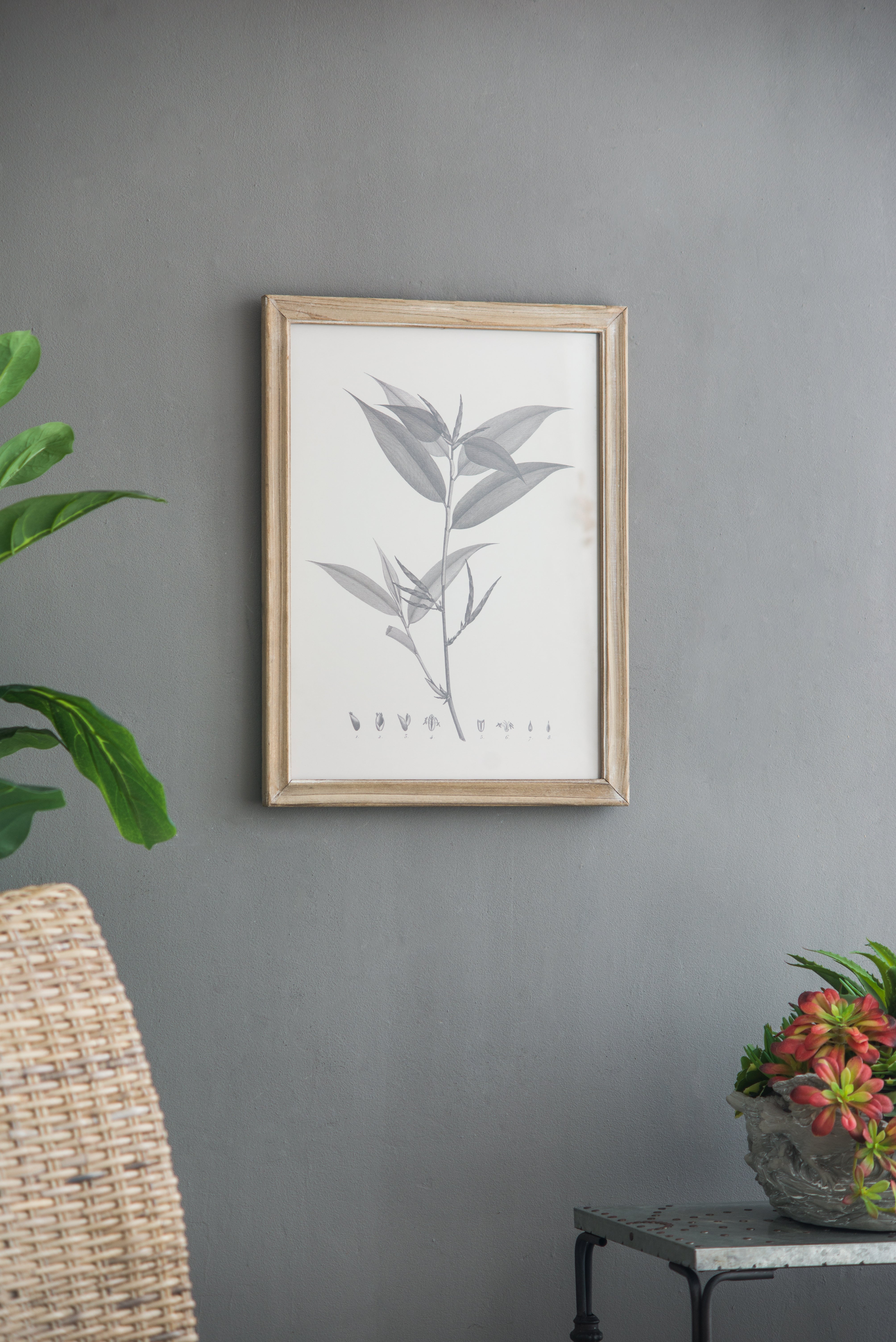 Botanical Wall Décor, Set of 4