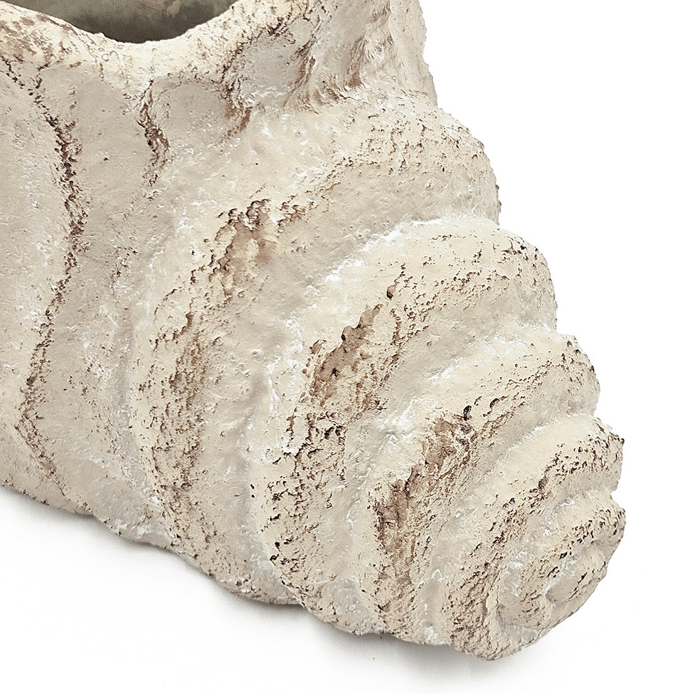 Conch Shell Planter with Textured Finish