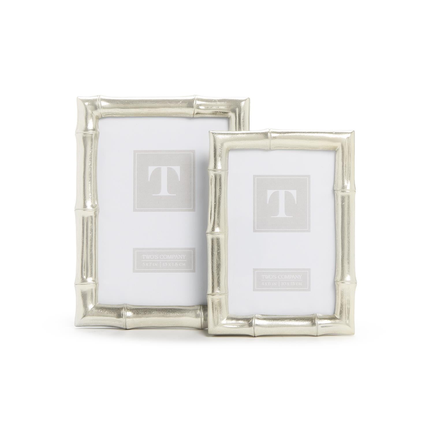 Silver Faux Bamboo Photo Frame, Set of 2