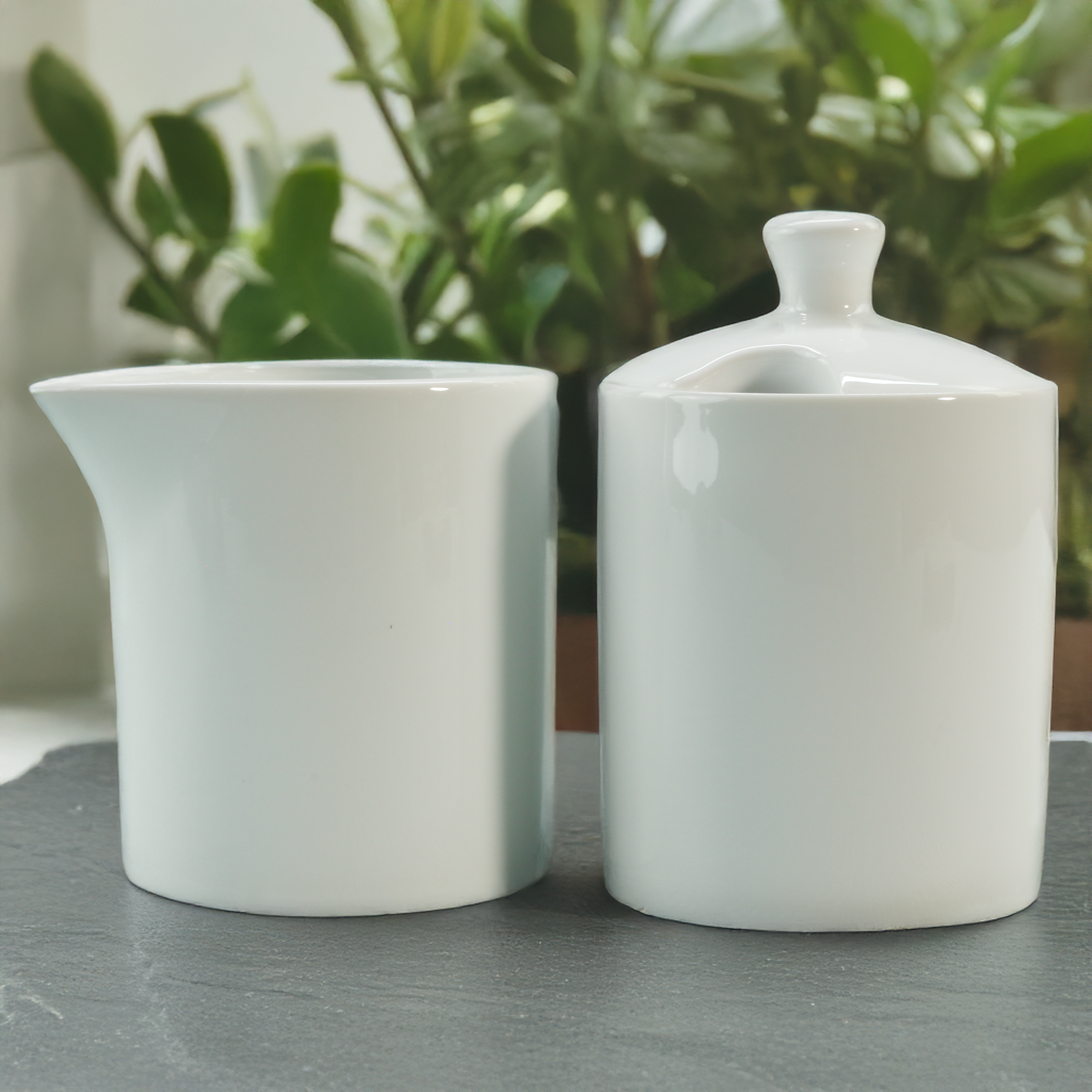 Urban Sugar And Creamer Set