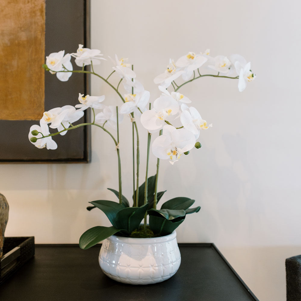 Lifelike 23" Faux Phalaenopsis Orchid