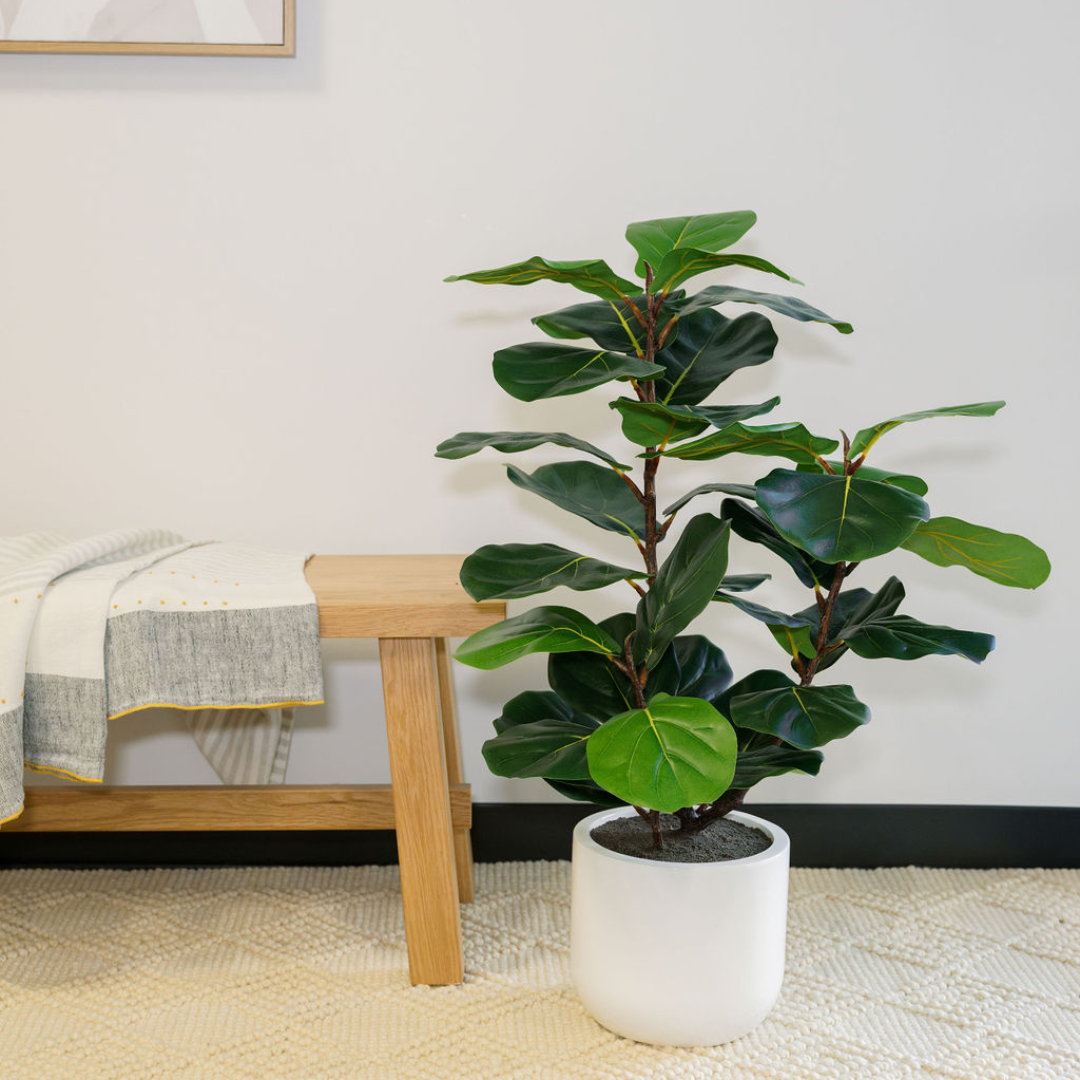 Faux Potted Fiddle Leaf Fig Tree, 3 ft