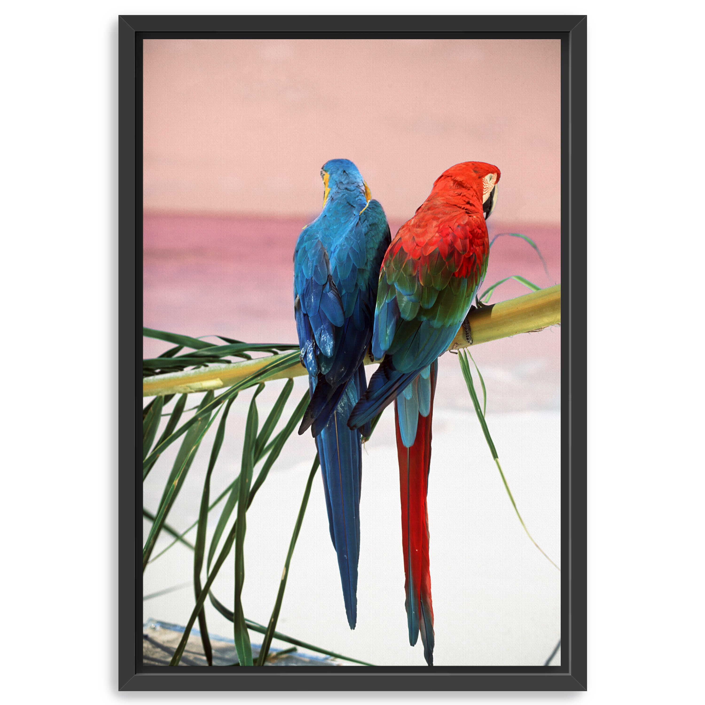 Palm Parrots Canvas Giclee
