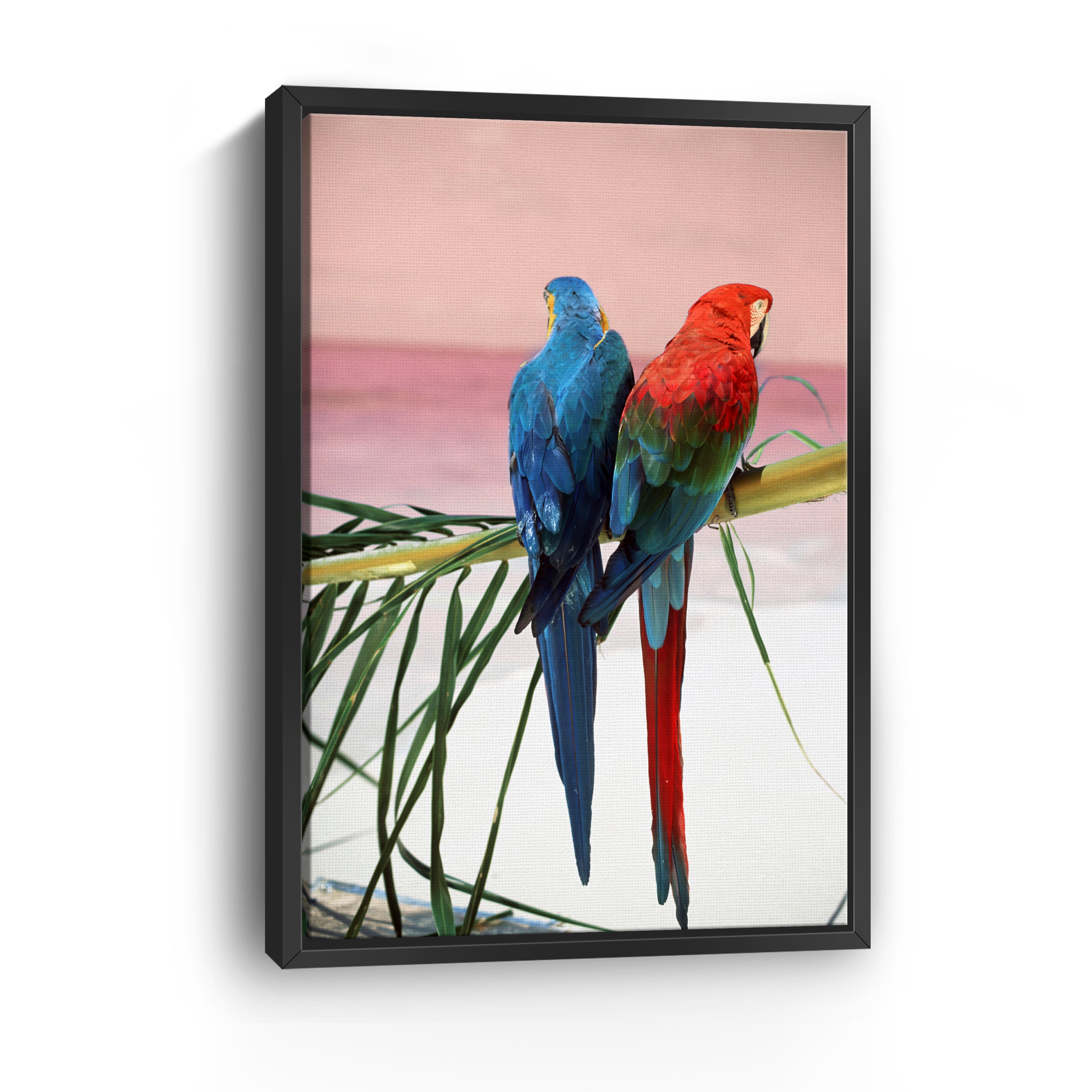 Palm Parrots Canvas Giclee