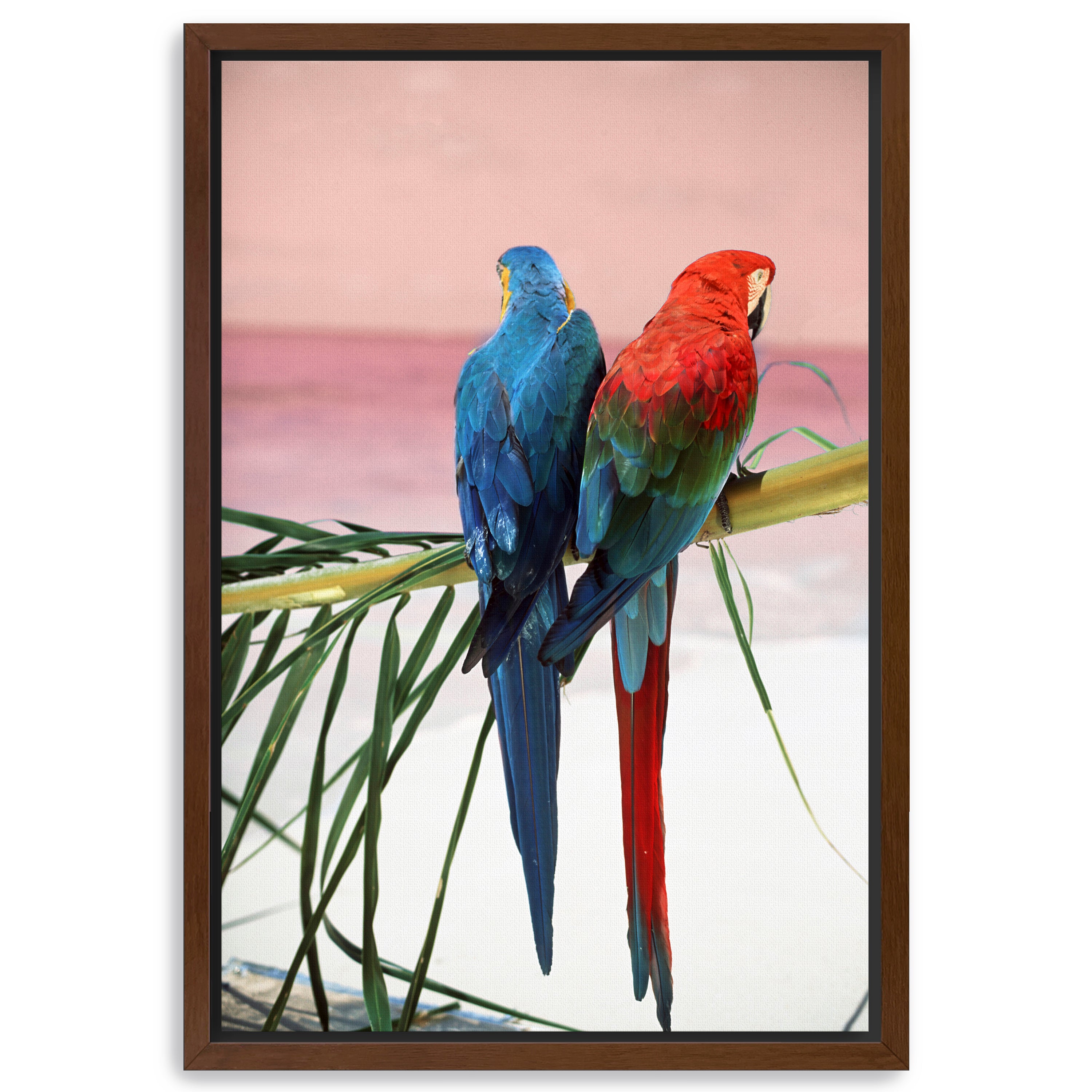 Palm Parrots Canvas Giclee