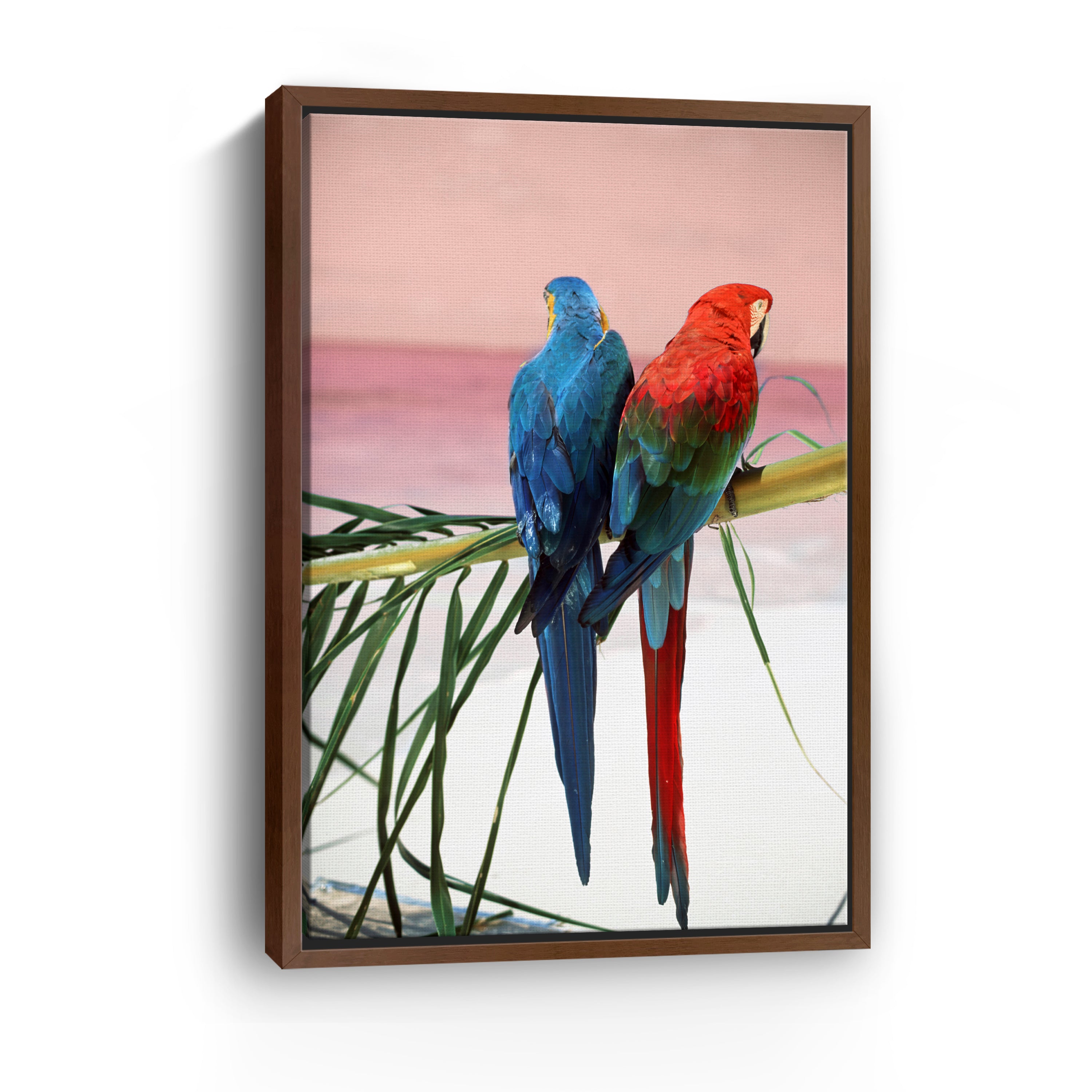 Palm Parrots Canvas Giclee