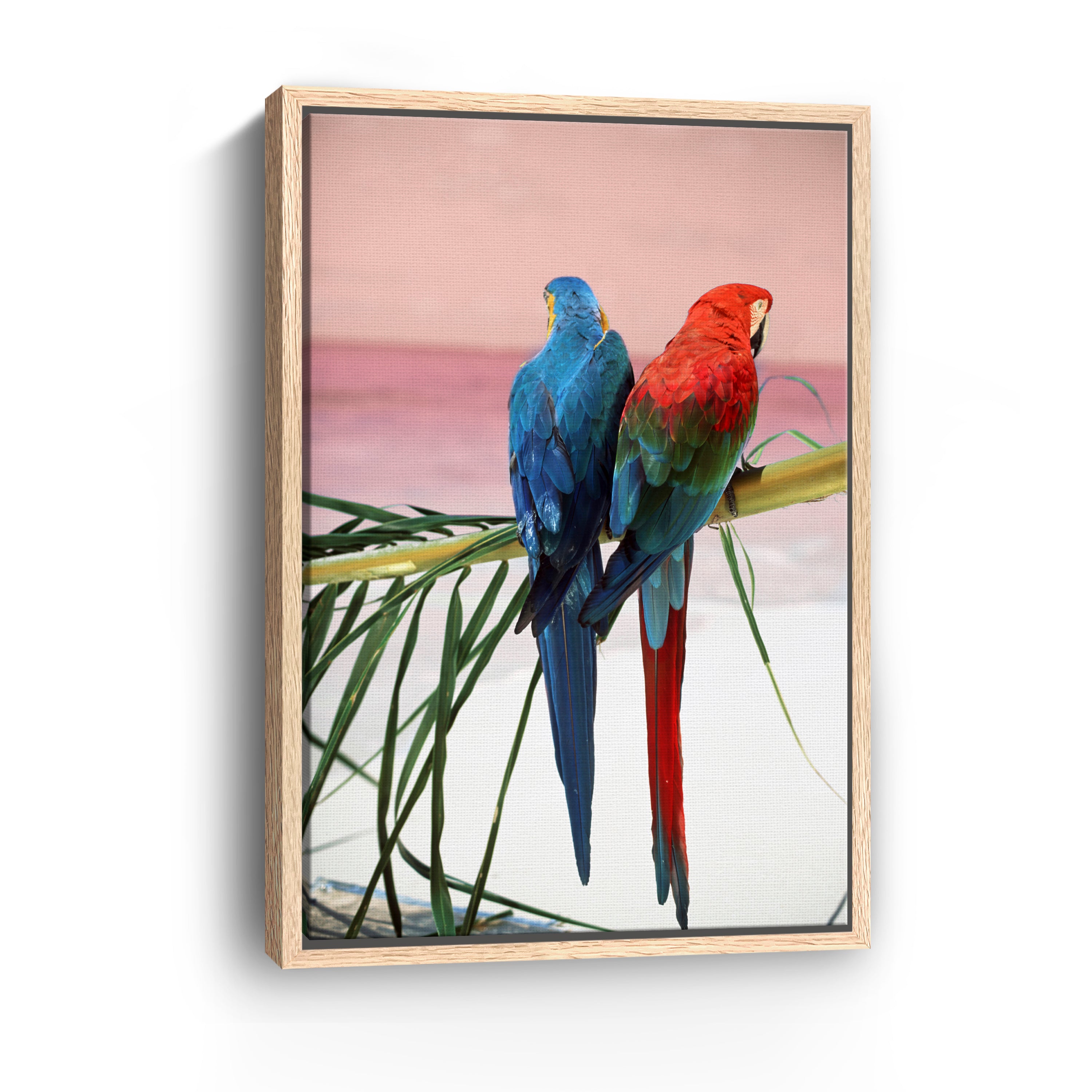 Palm Parrots Canvas Giclee