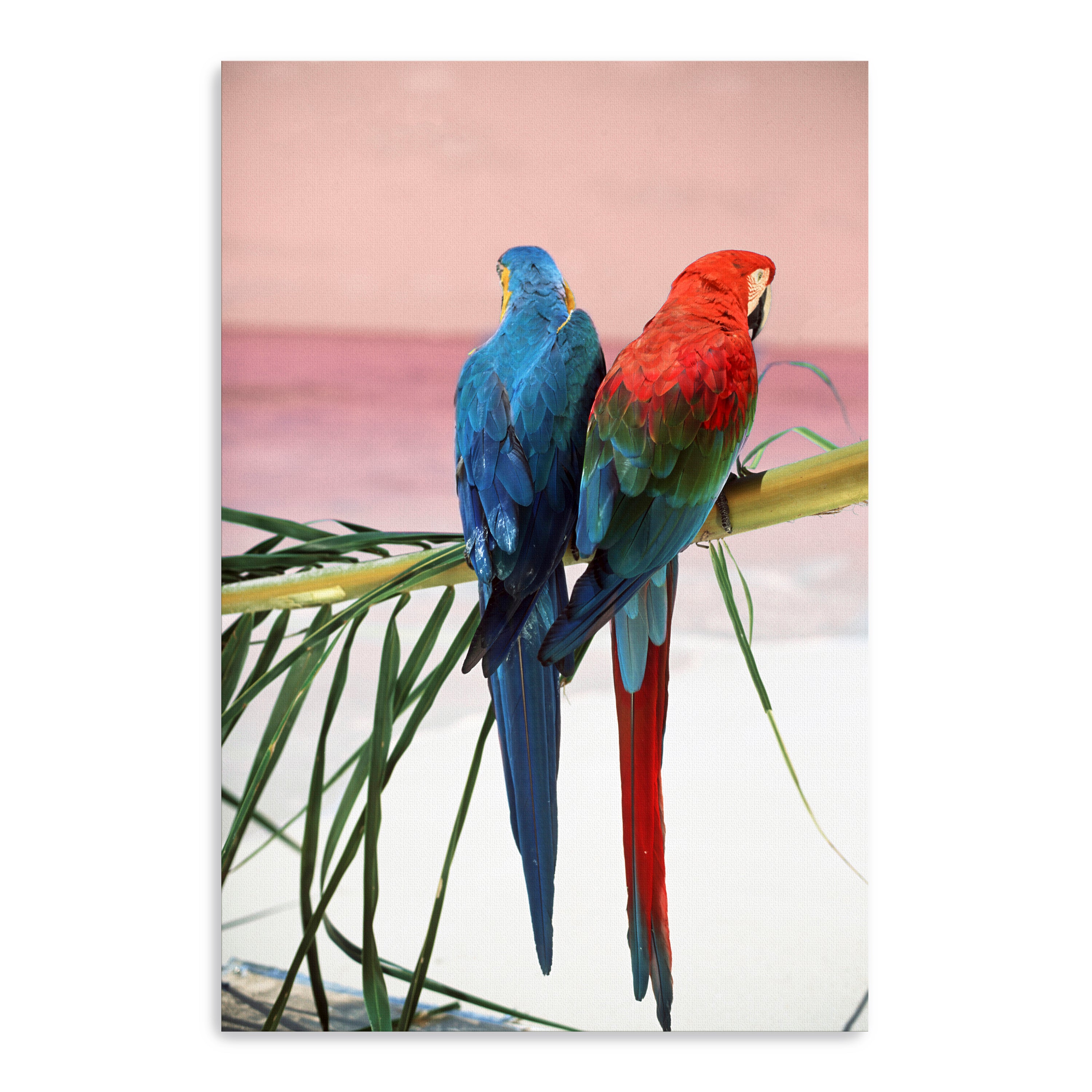 Palm Parrots Canvas Giclee