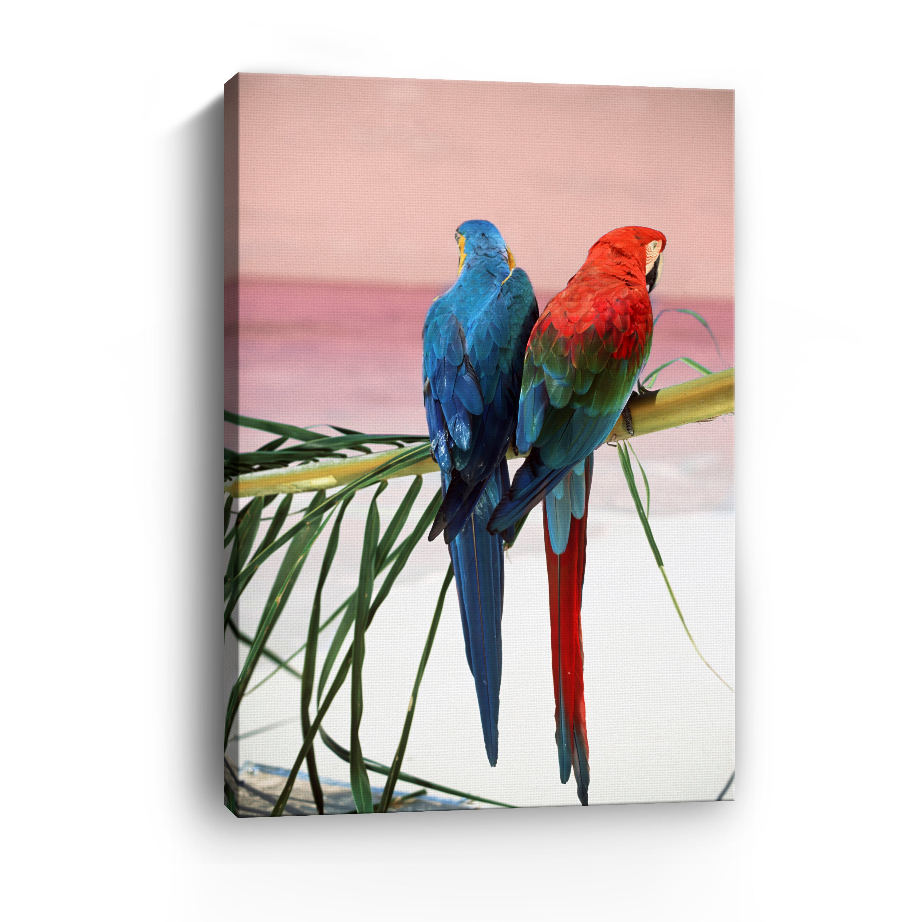 Palm Parrots Canvas Giclee