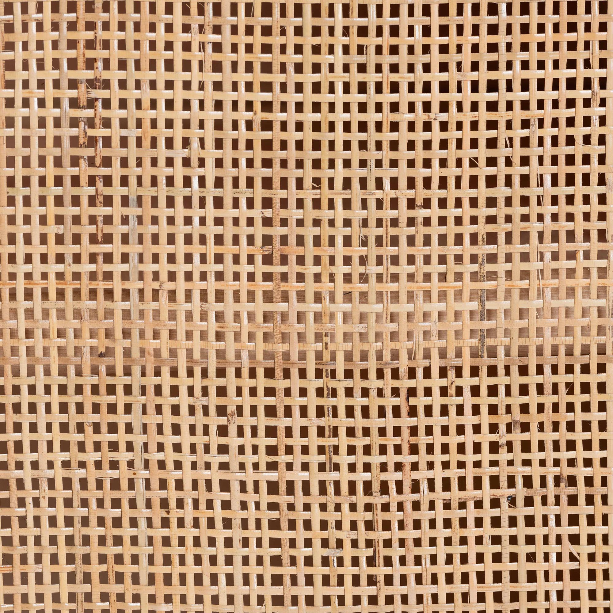 Bohemian Natural Rattan 2-Door Storage Cabinet