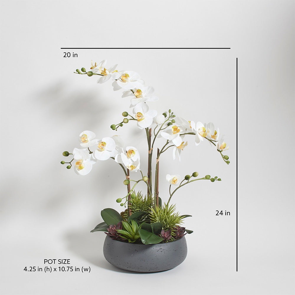 Faux Orchid with Succulents Sizing
