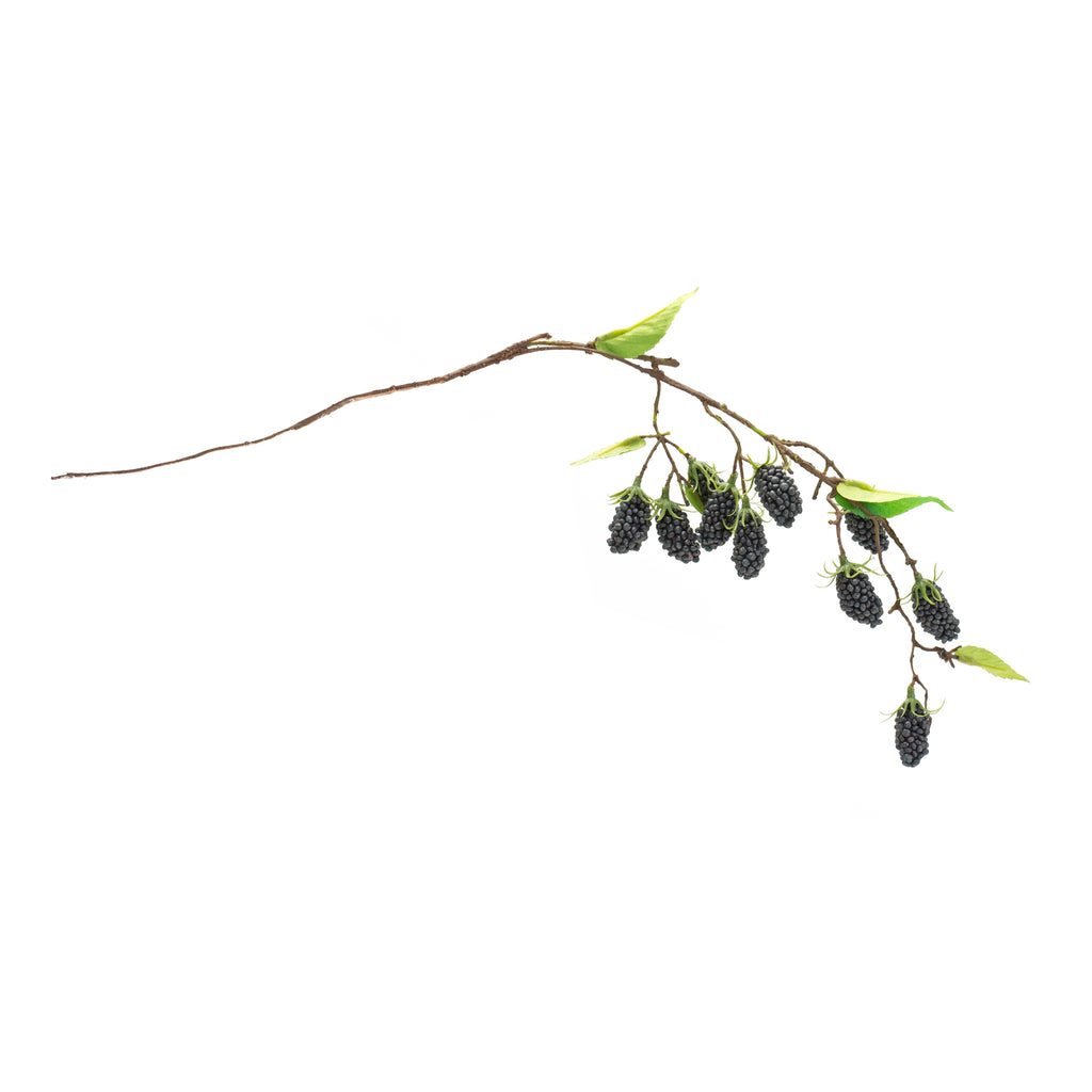 Blackberry Twig Vine (Set of 6)
