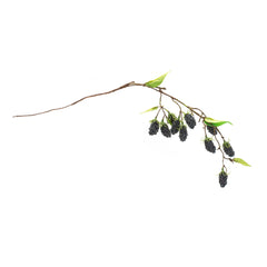 Blackberry Twig Vine (Set of 6)