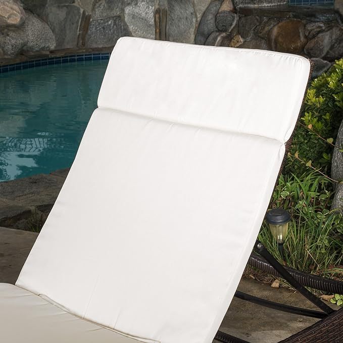 Salem Outdoor Chaise Lounge Cushion, Set of 2