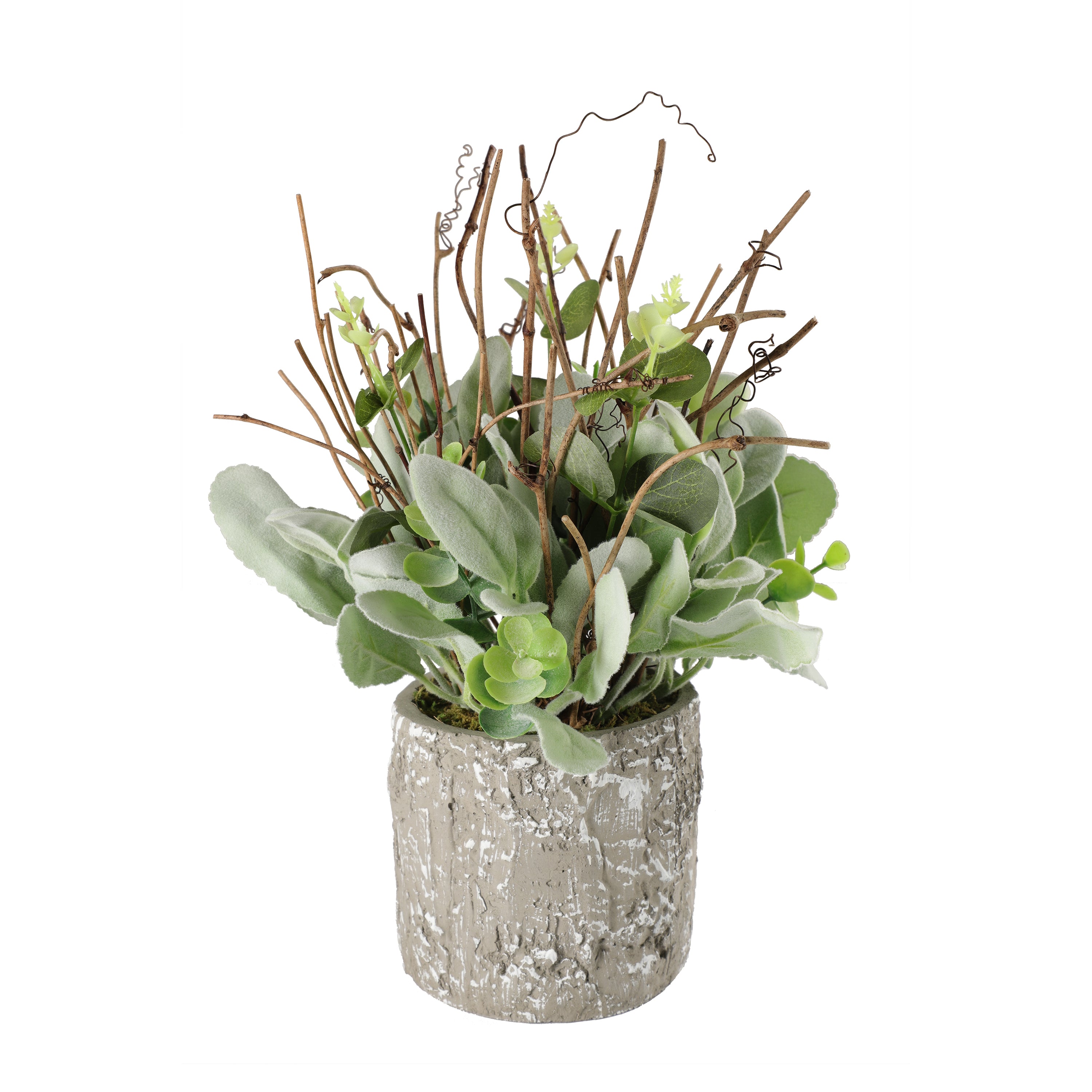 11" Lambs Ear Potted Plant With Twig & Greenery Leaves