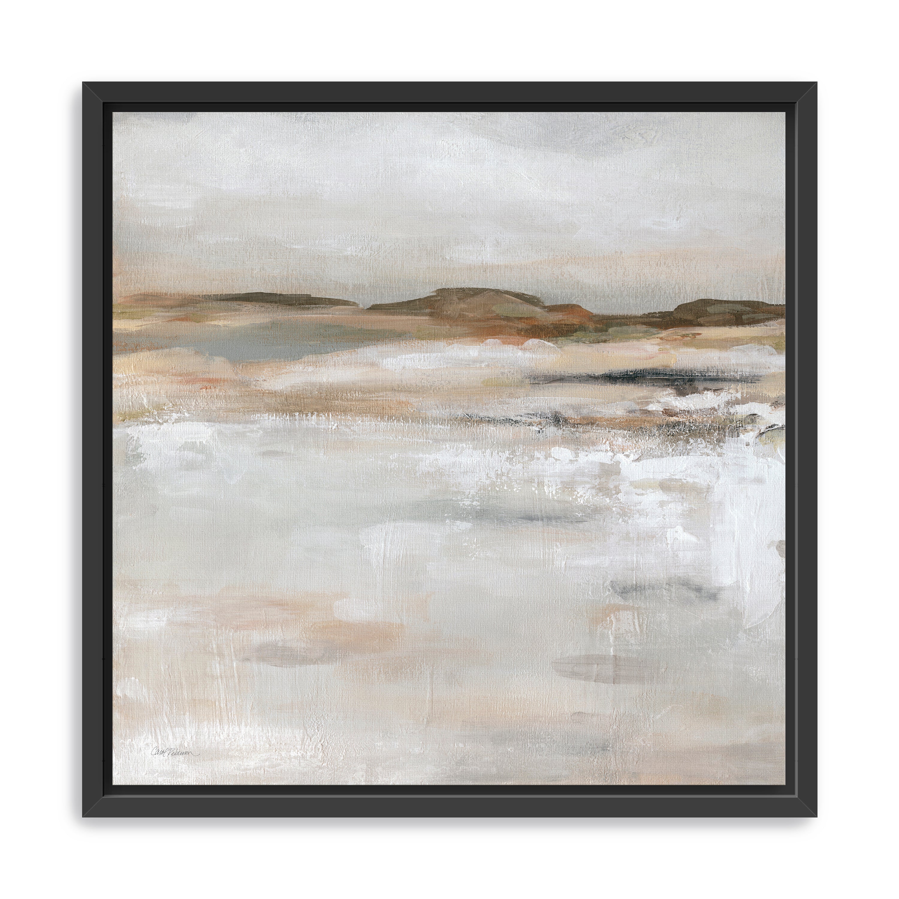 Neutral Desert Floor Canvas Giclee