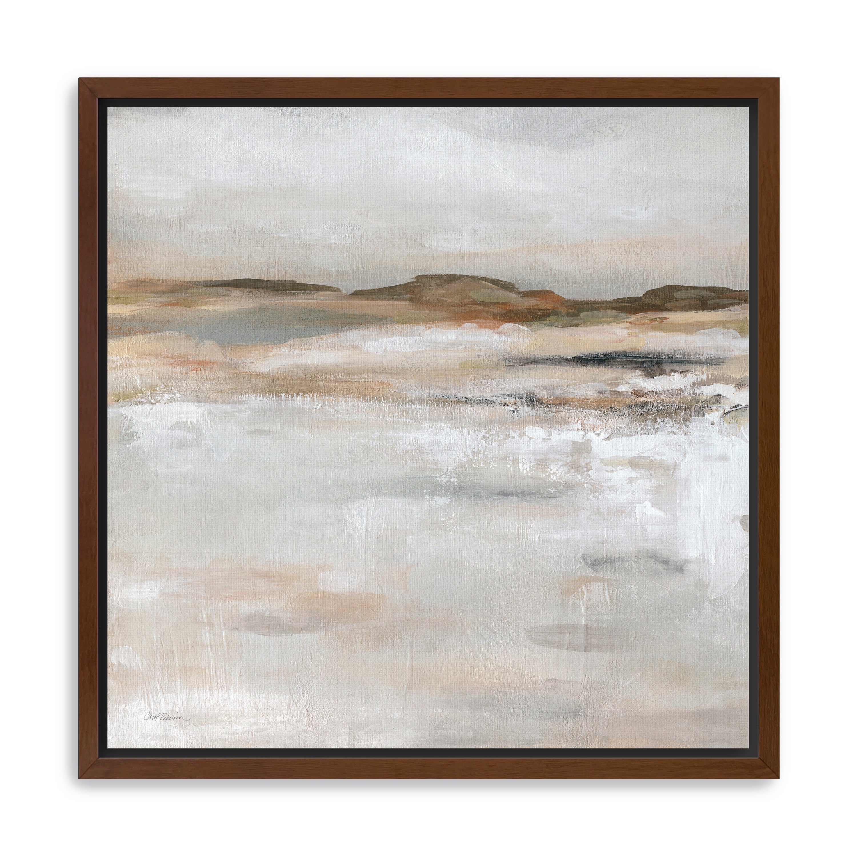 Neutral Desert Floor Canvas Giclee
