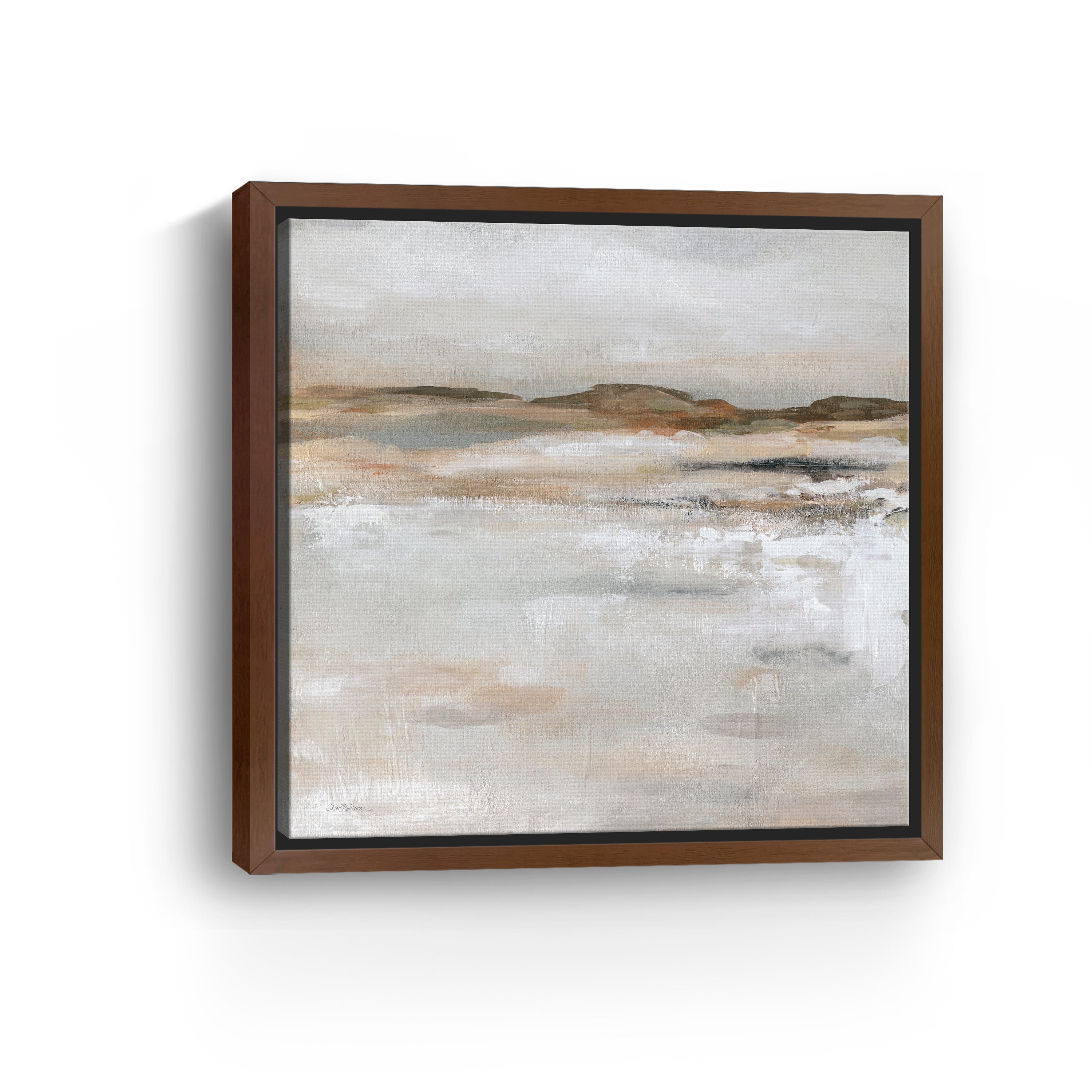 Neutral Desert Floor Canvas Giclee