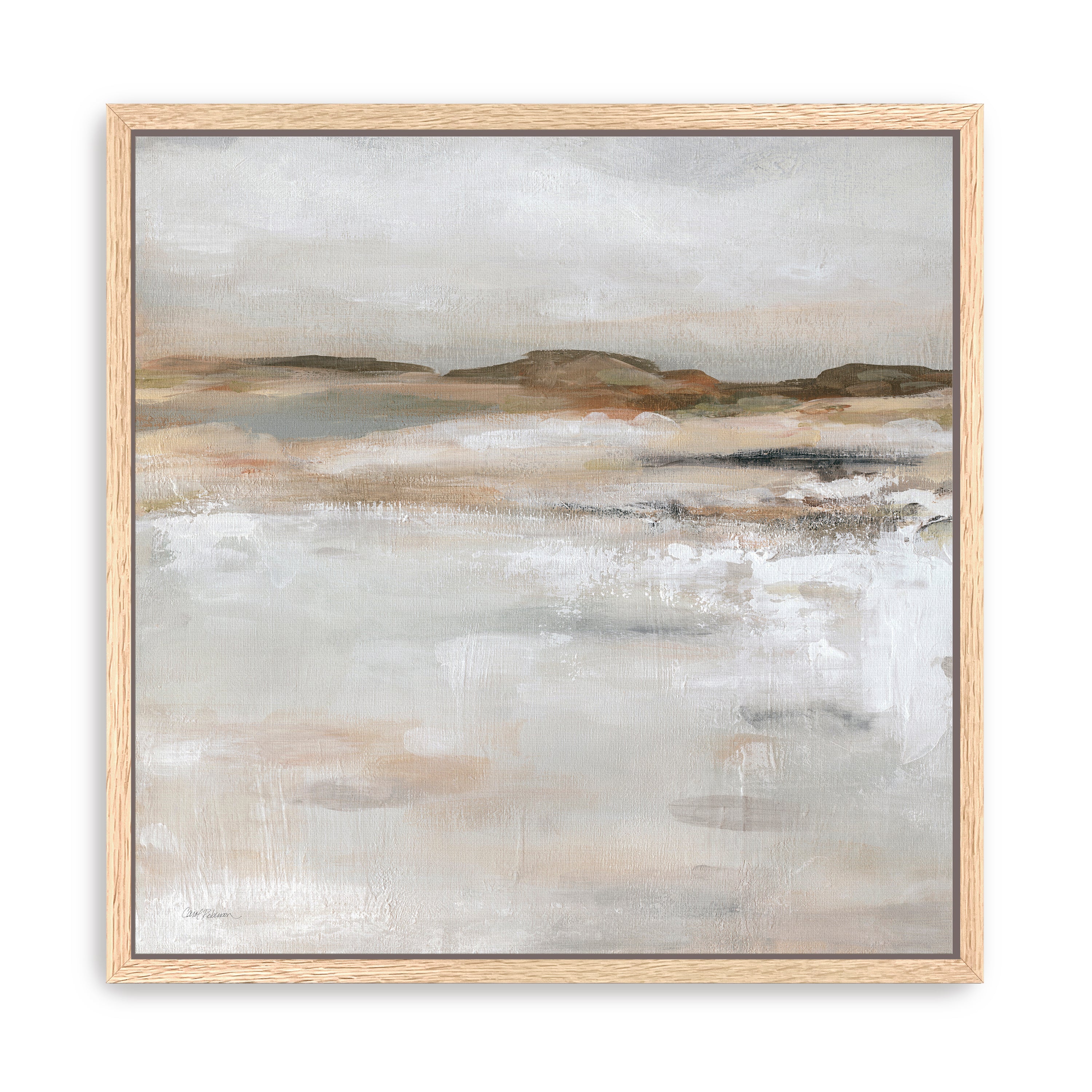 Neutral Desert Floor Canvas Giclee