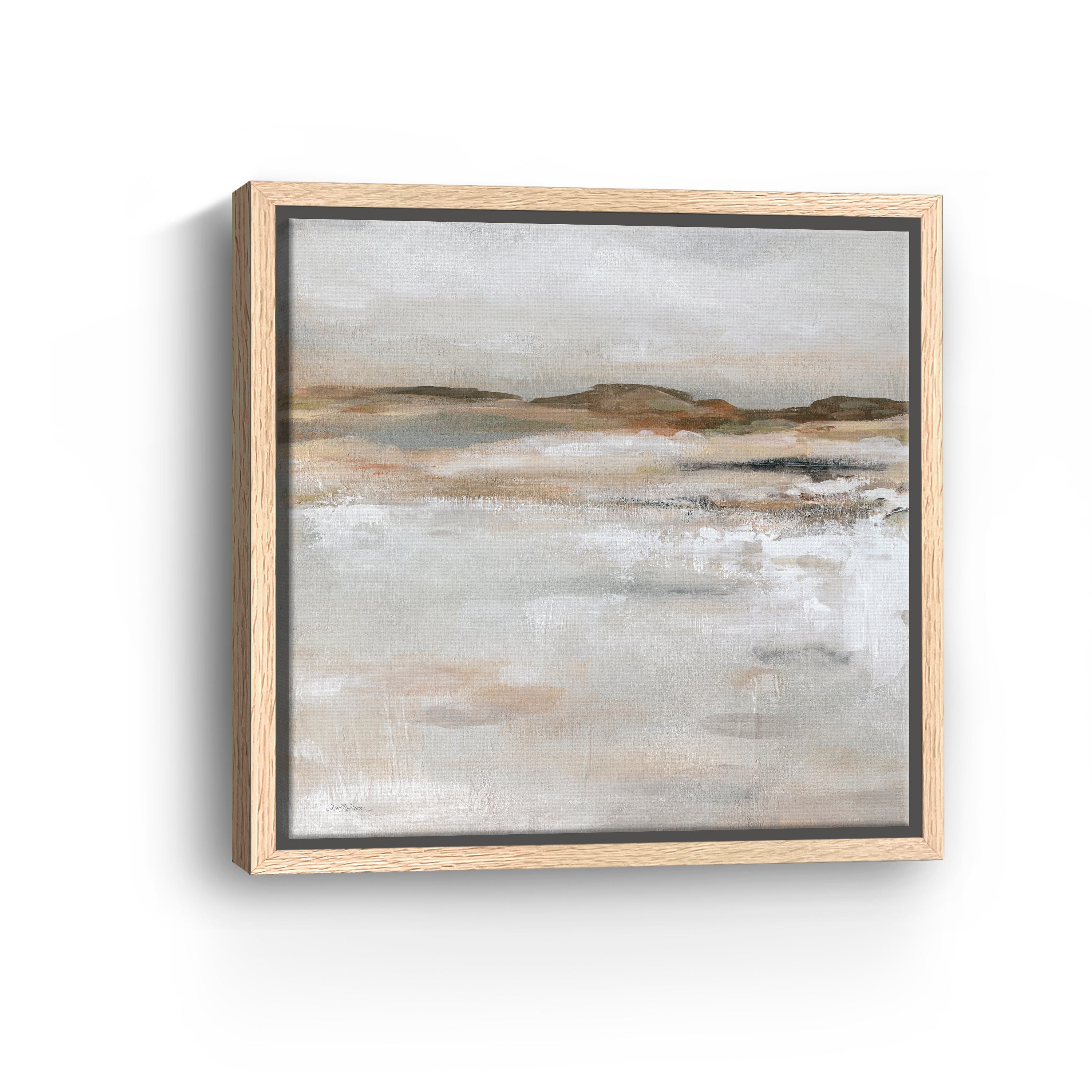 Neutral Desert Floor Canvas Giclee