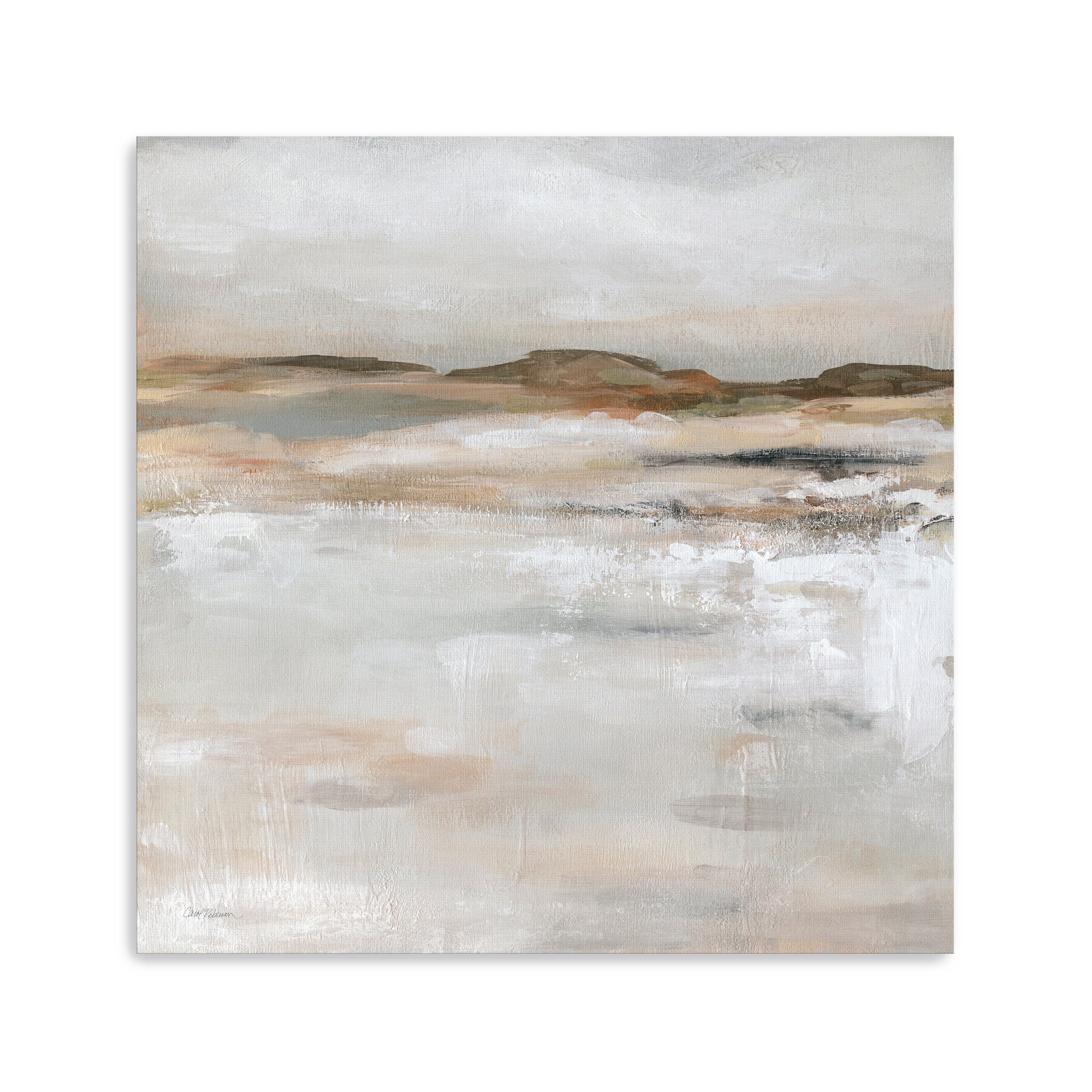 Neutral Desert Floor Canvas Giclee