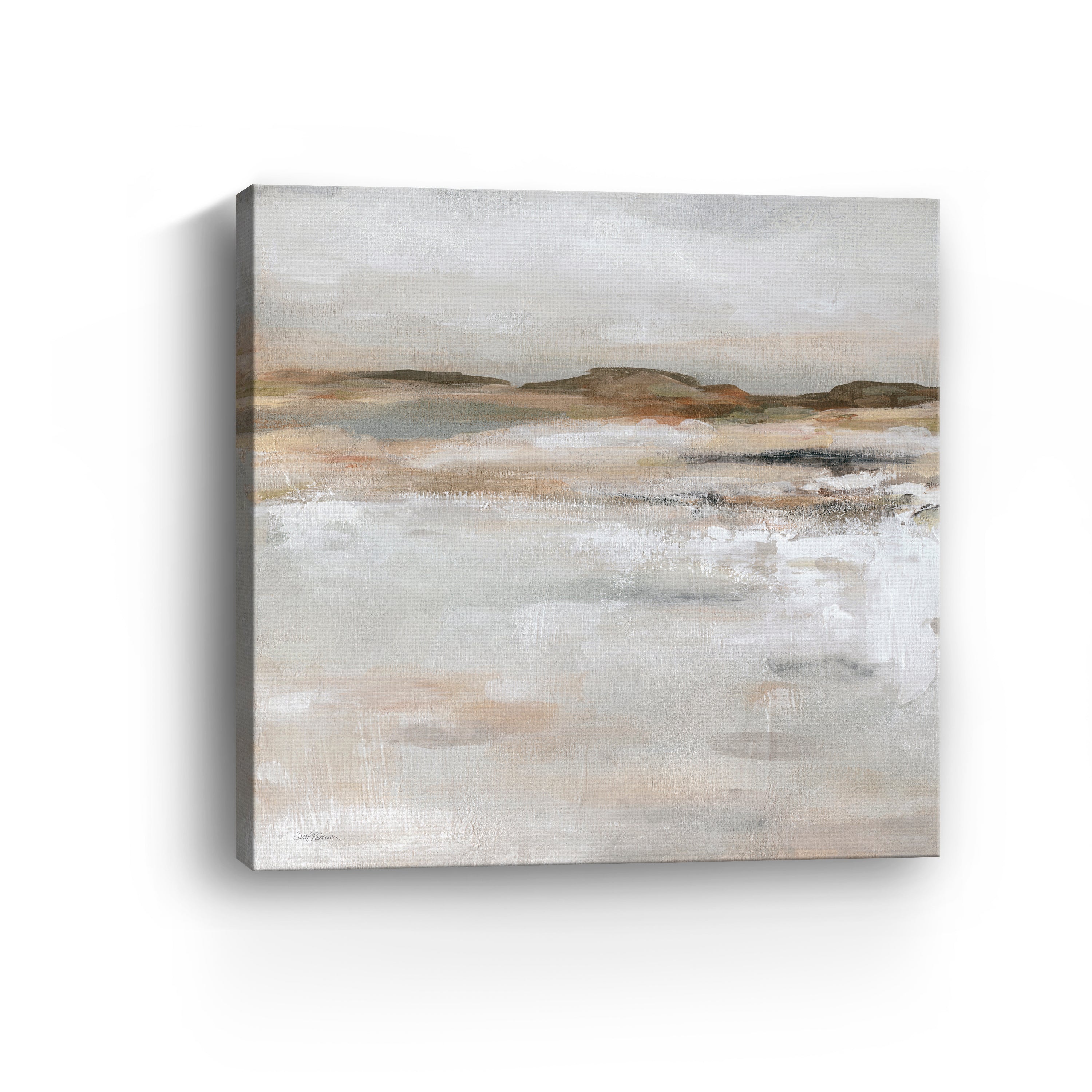 Neutral Desert Floor Canvas Giclee