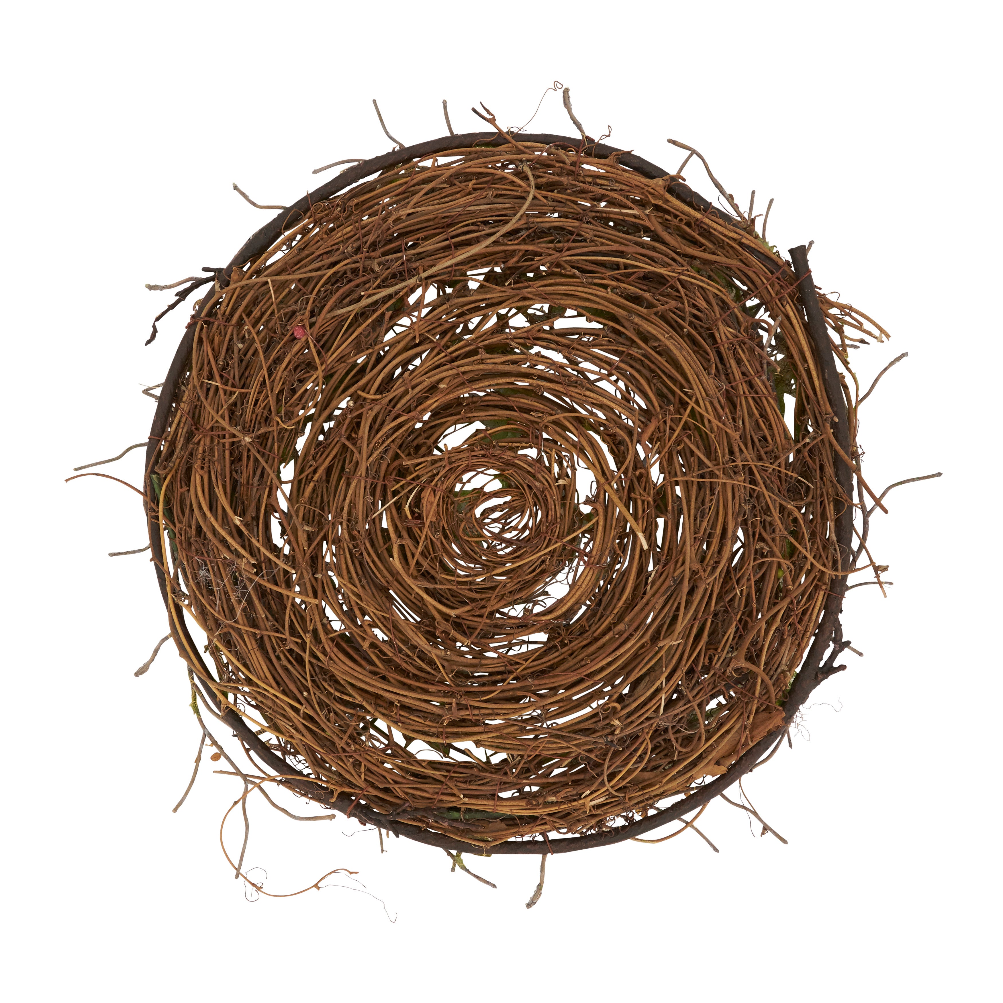 Rustic Charm Twig and Moss Placemat, Set of 4