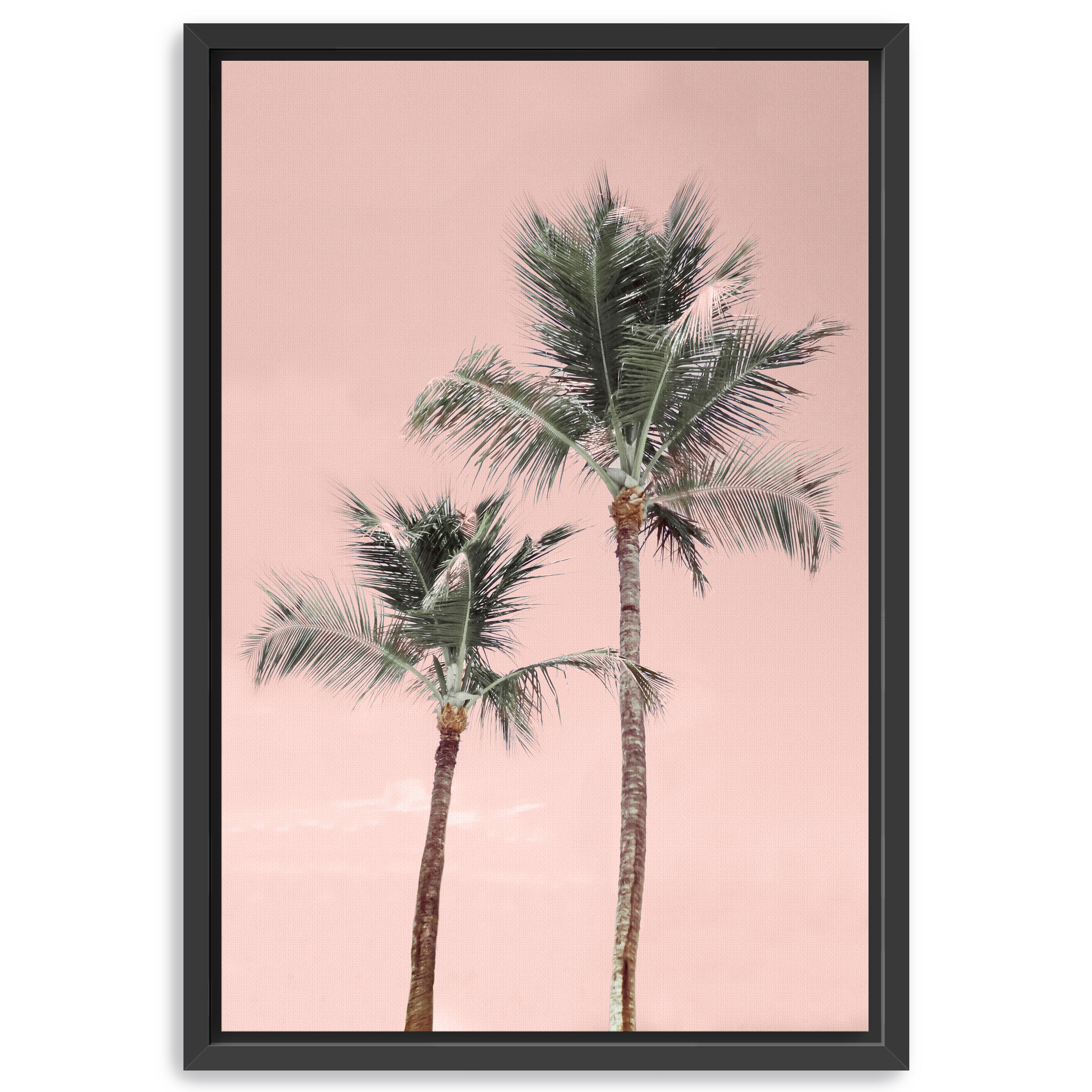Aruba Pinks Canvas Giclee