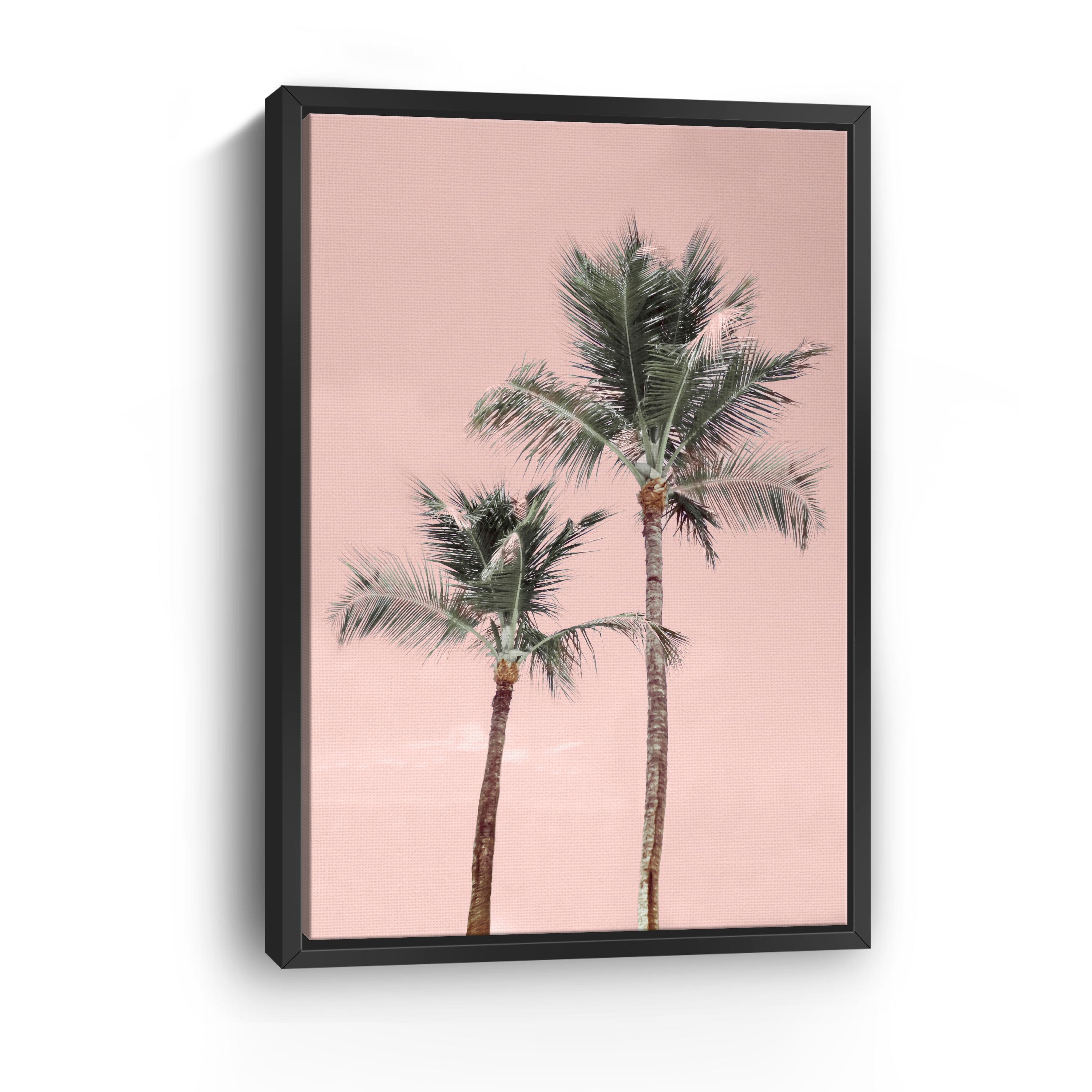 Aruba Pinks Canvas Giclee