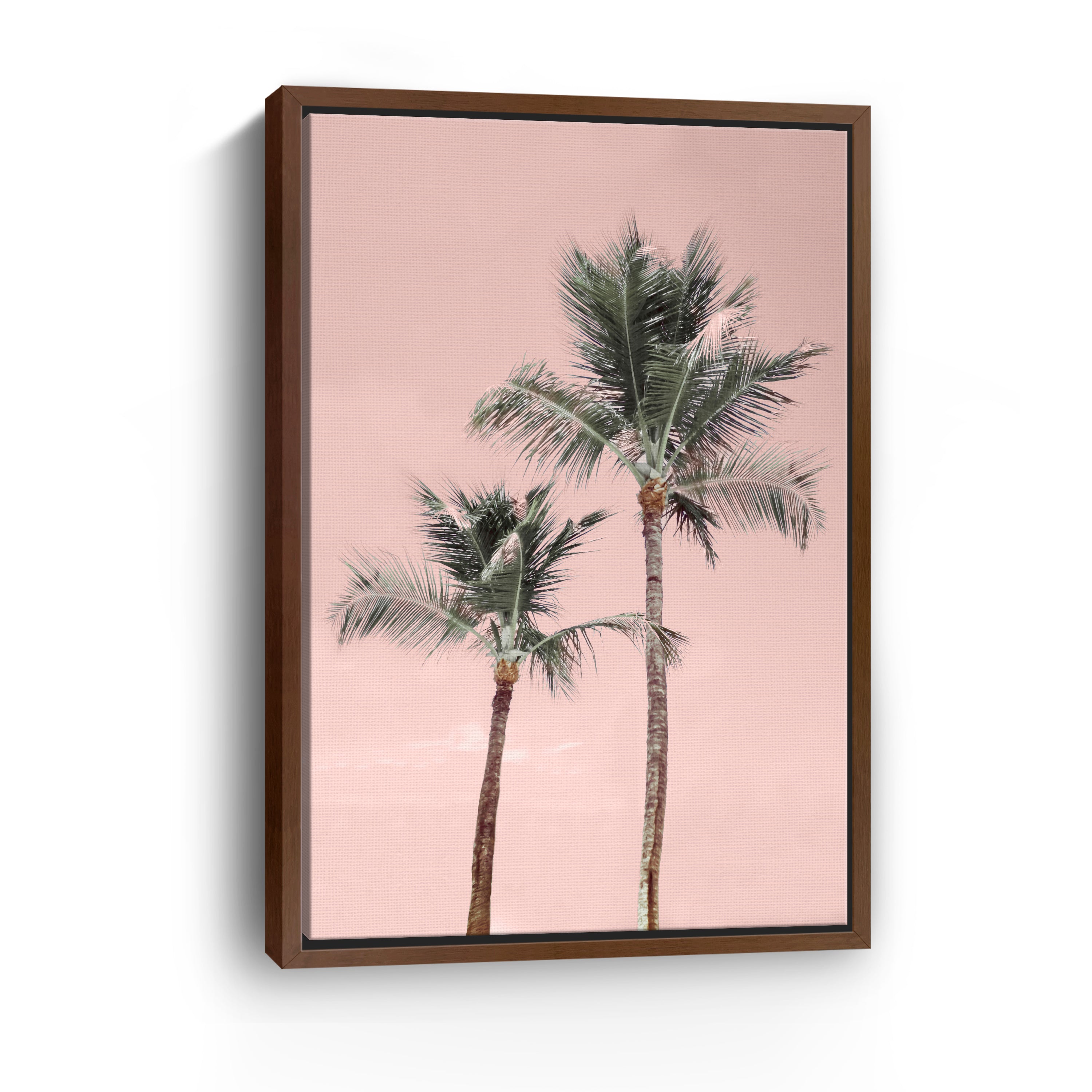 Aruba Pinks Canvas Giclee