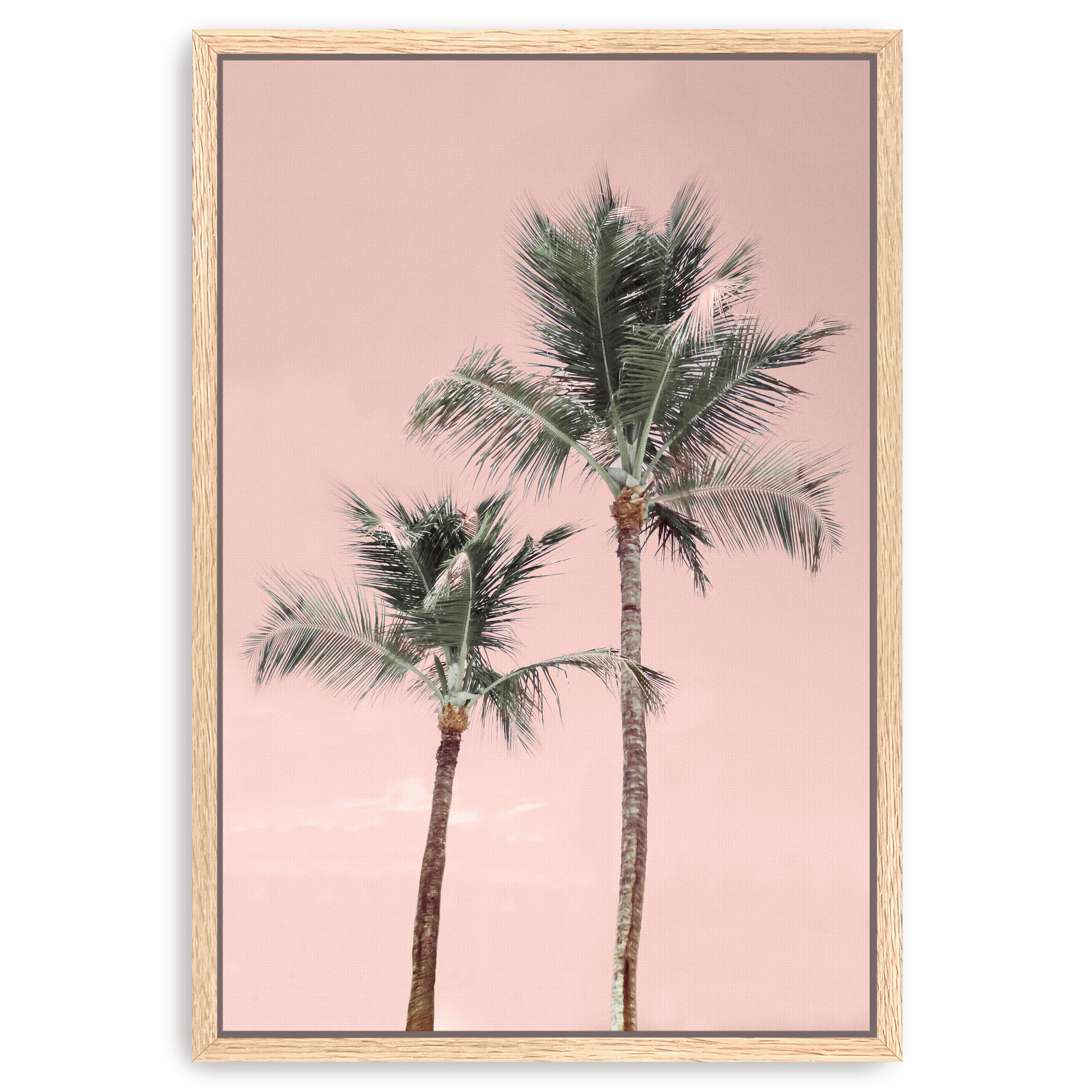 Aruba Pinks Canvas Giclee
