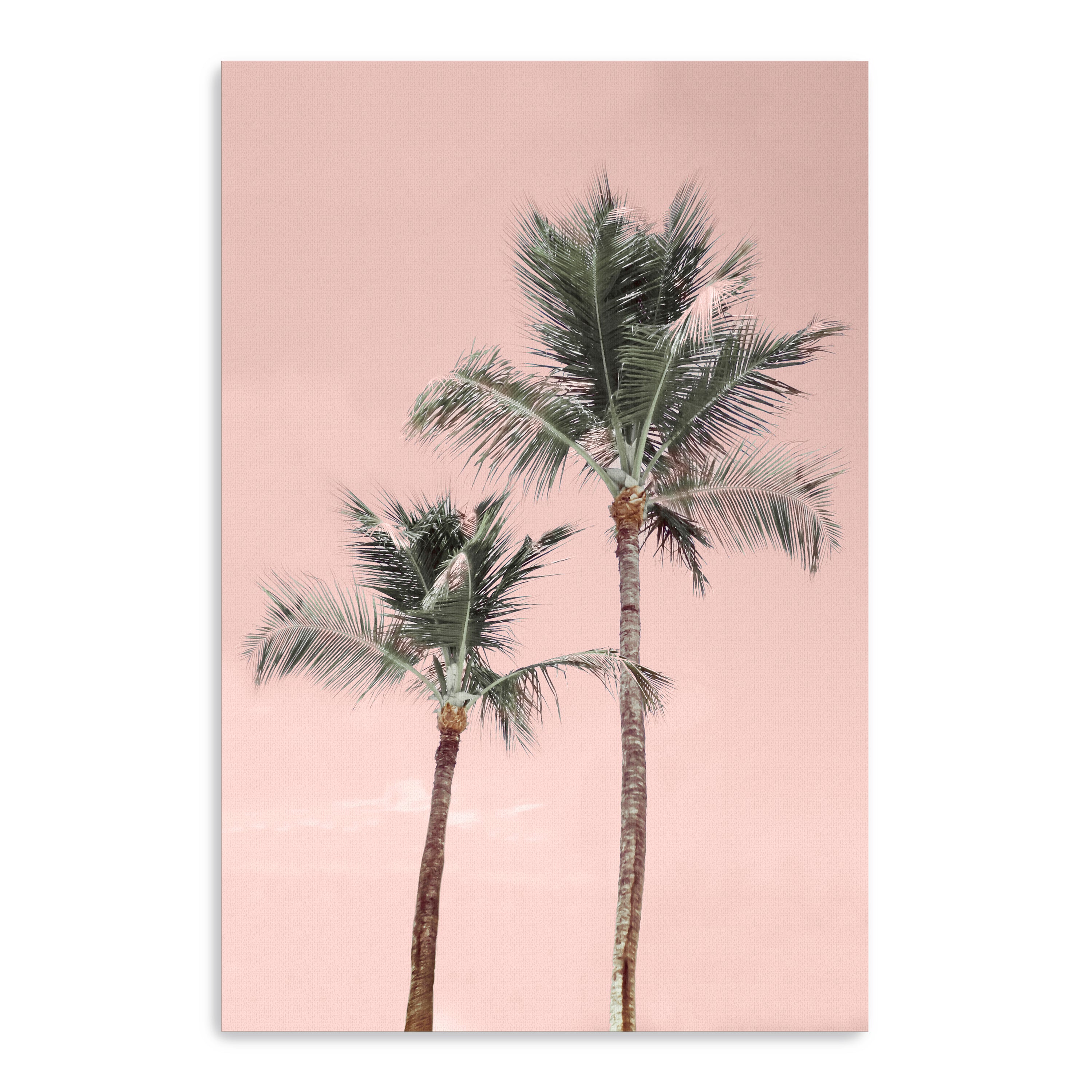 Aruba Pinks Canvas Giclee