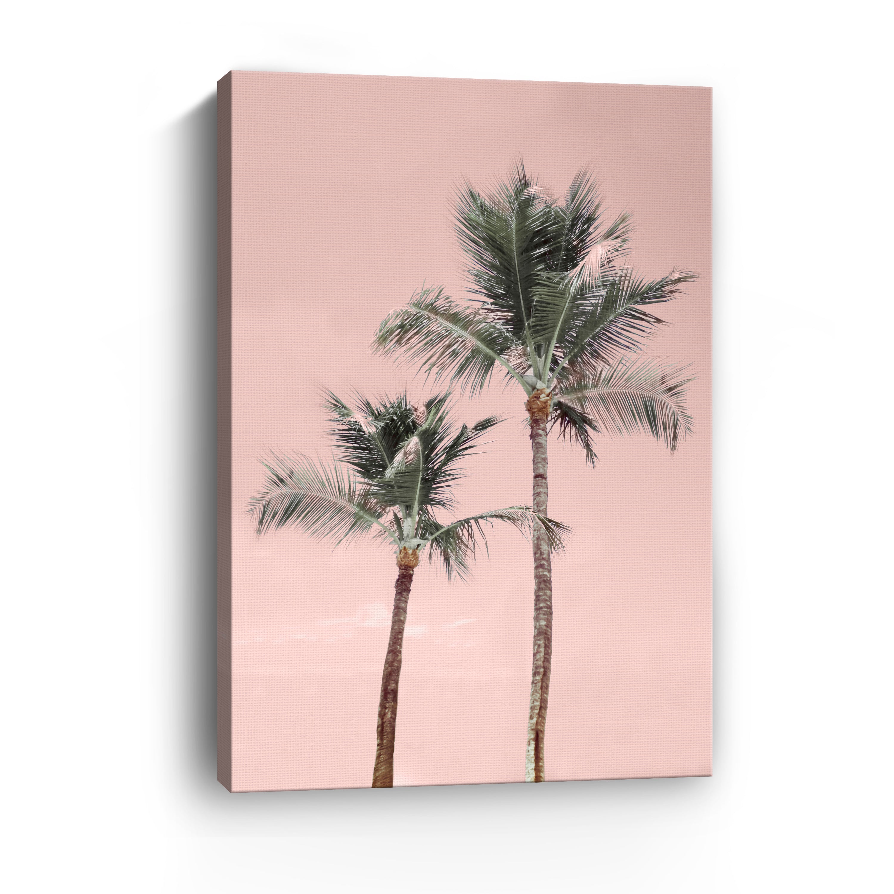 Aruba Pinks Canvas Giclee