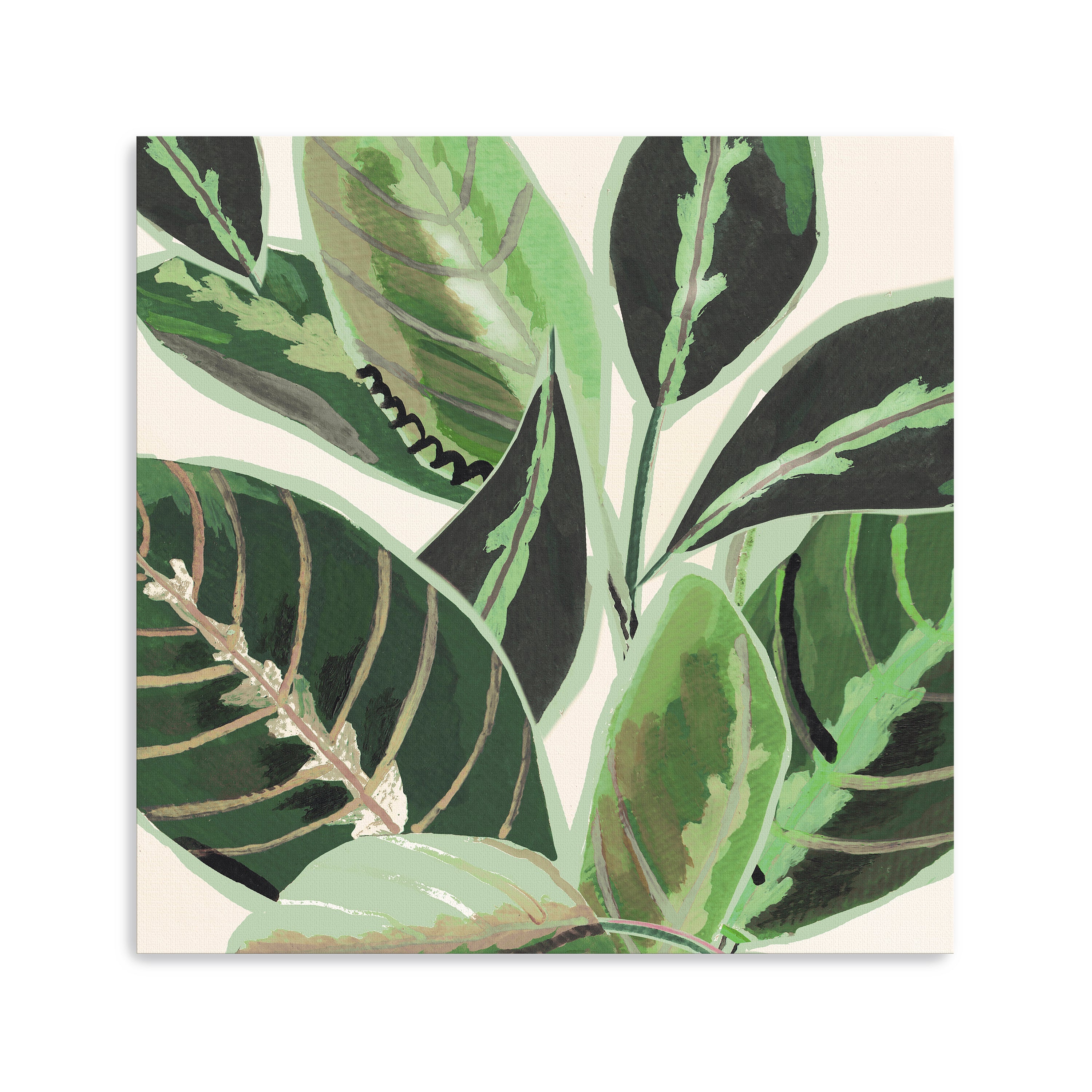 Jungle Close Up II Canvas Giclee