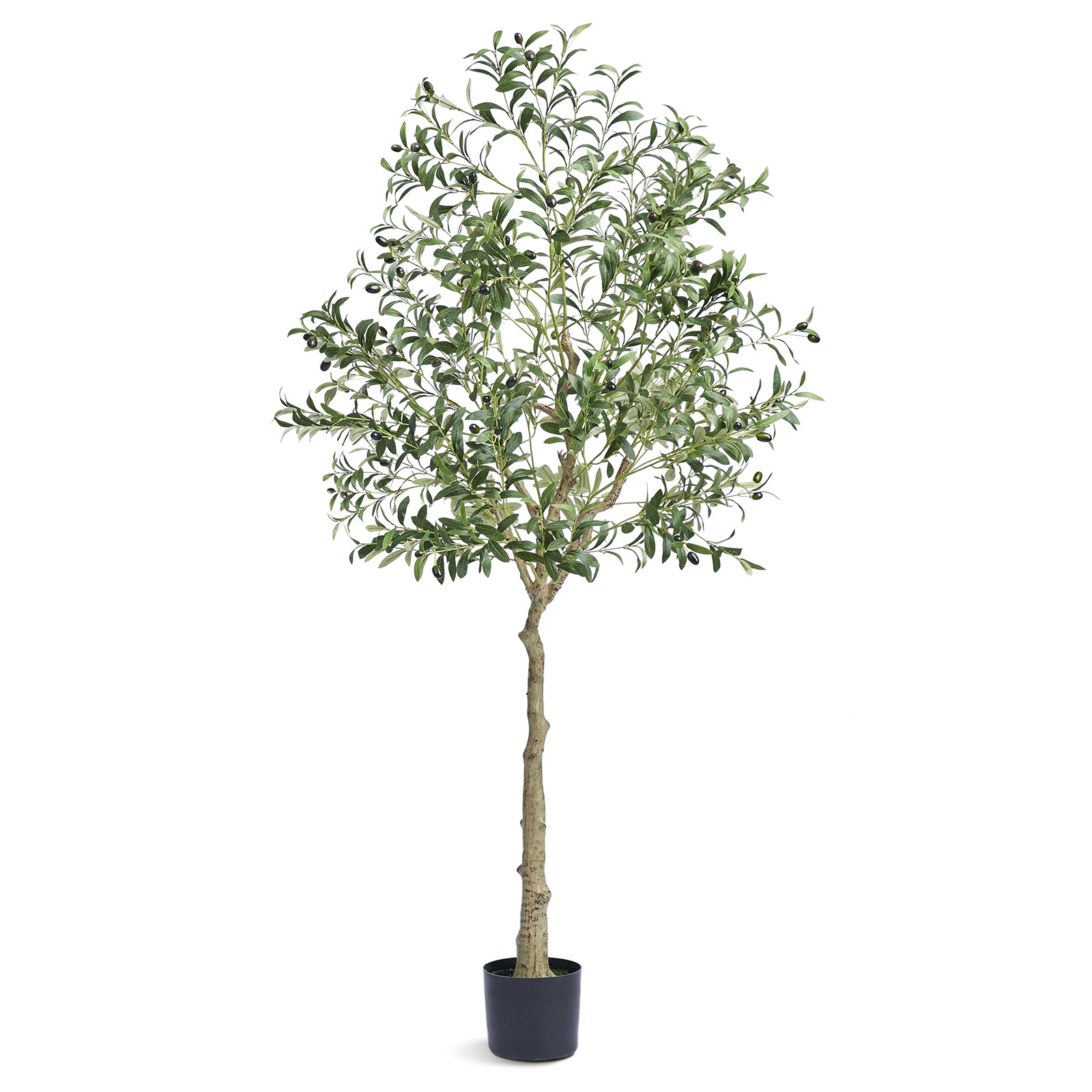 6 ft Artificial Olive Tree with Thick Trunk