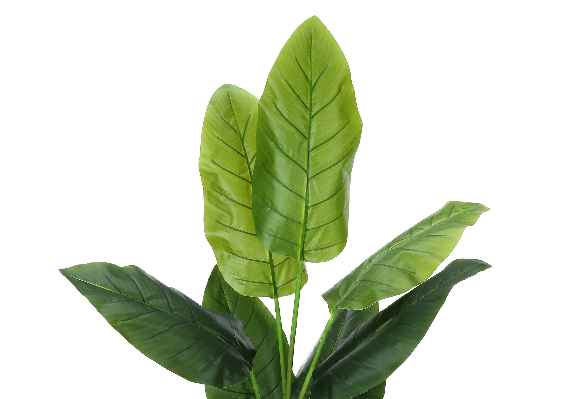 59" Tall Artificial Strelitzia Tree with Pot