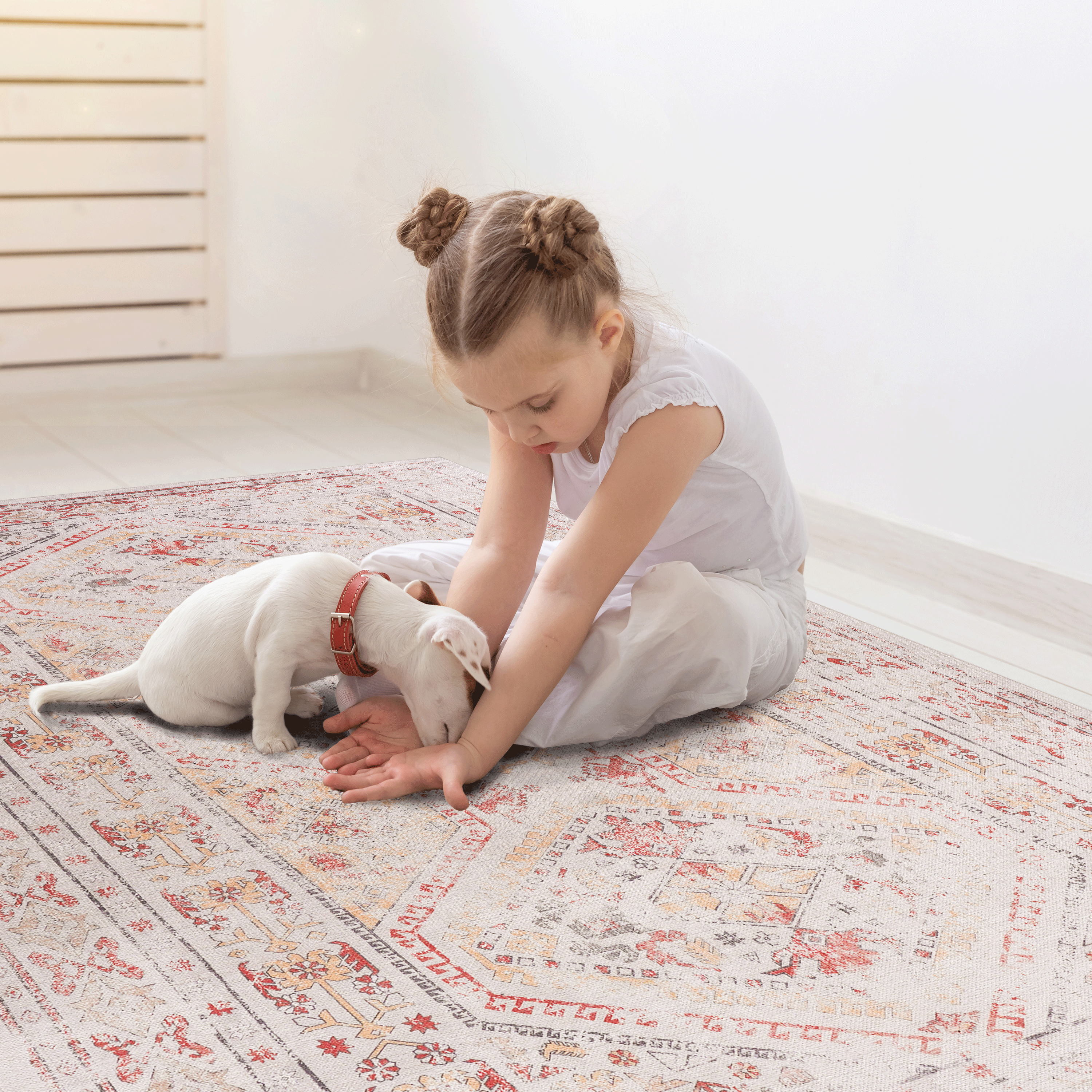 Area Rug with Distressed Boho Medallion Design