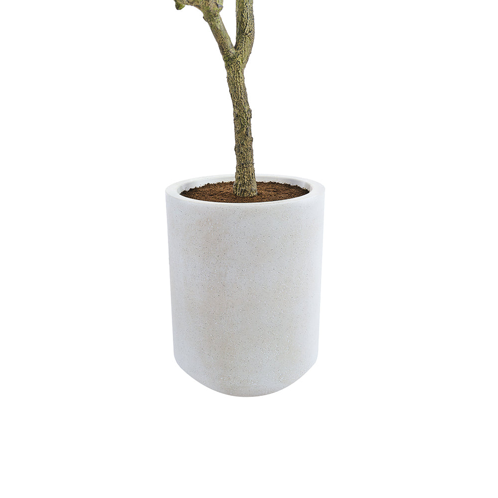 CG Hunter Faux Olive Tree Dimensions
