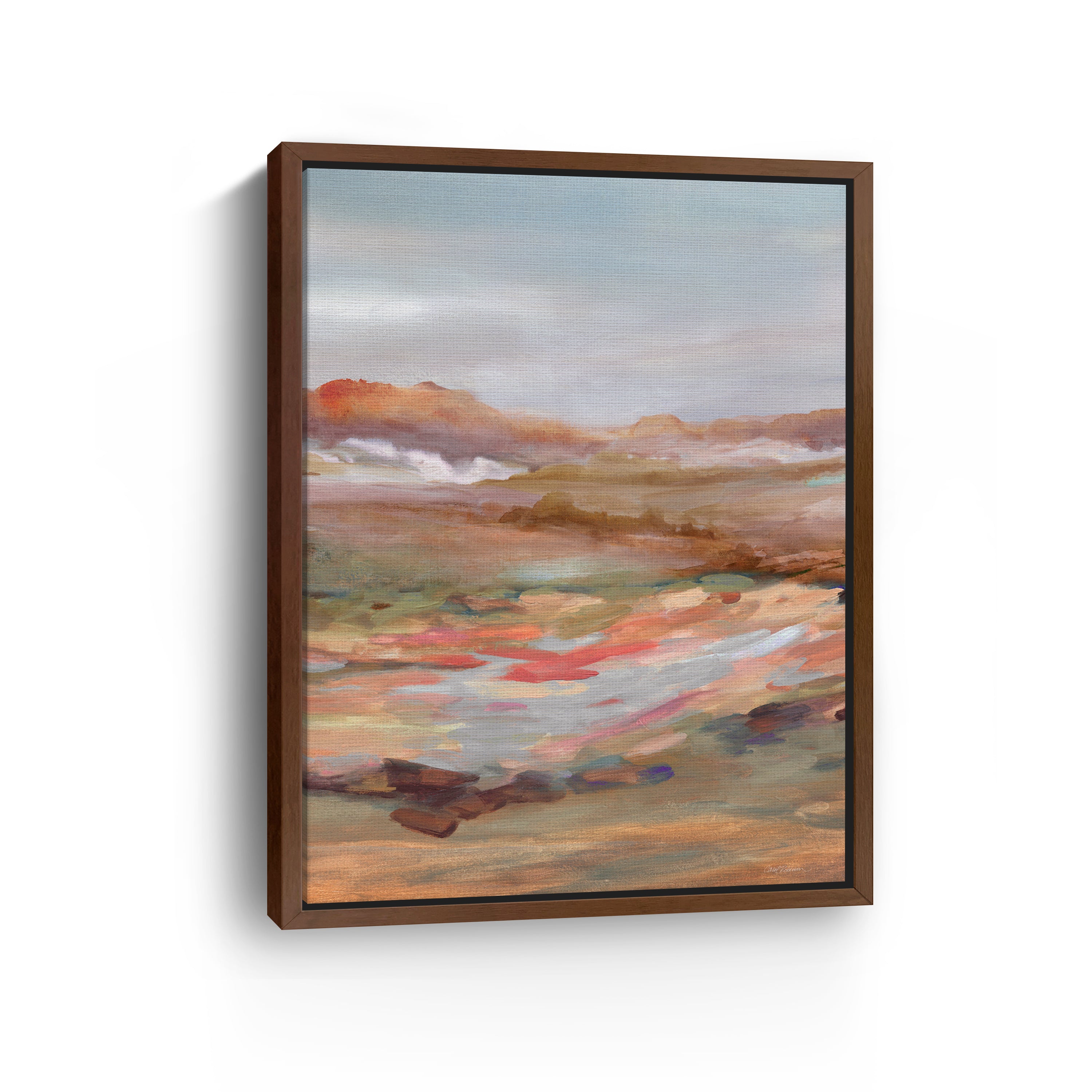 Painted Desert Canvas Giclee