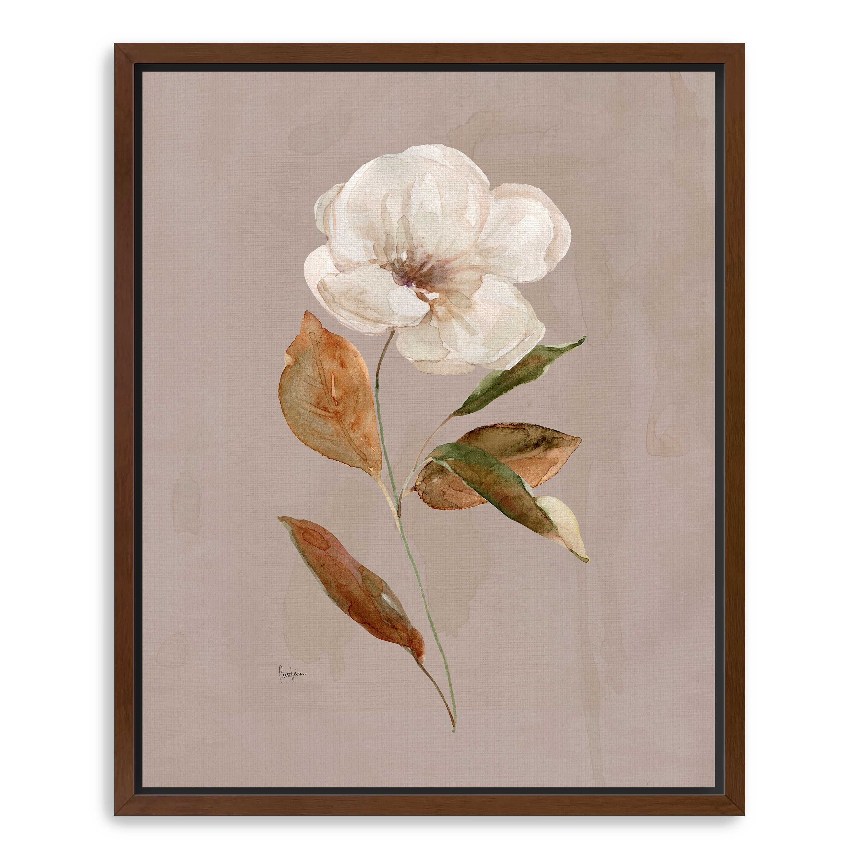 Aged Botanical I Canvas Giclee