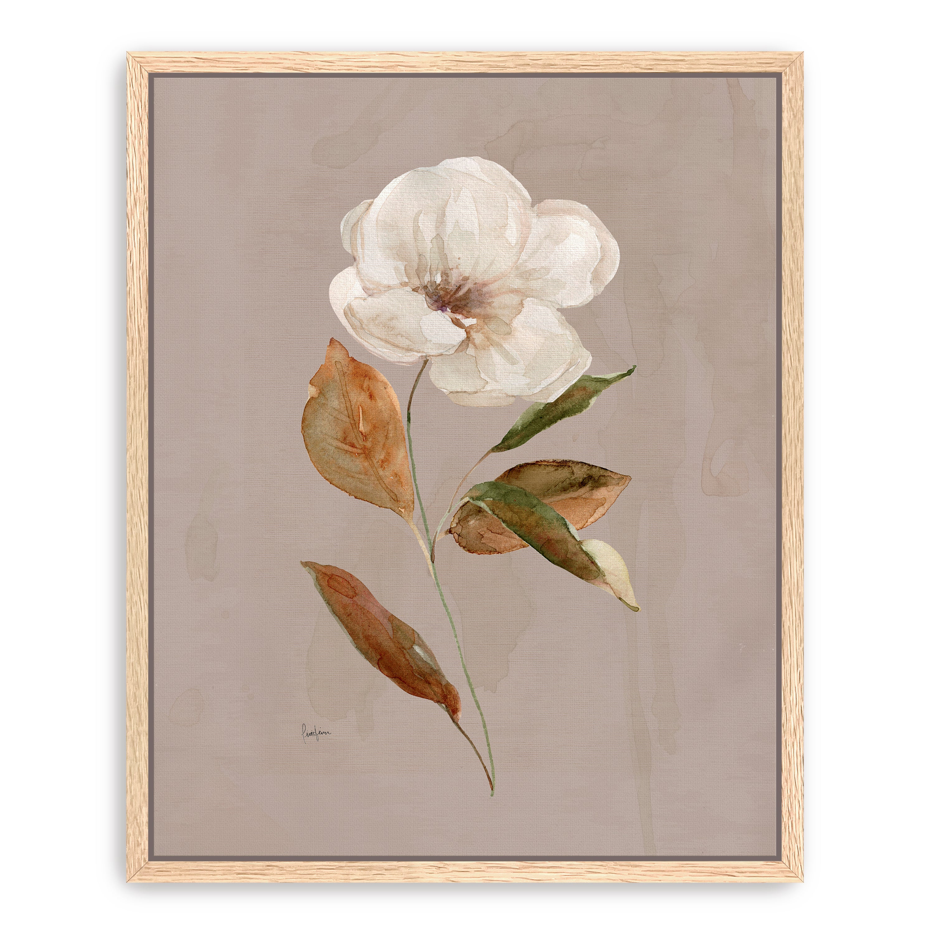 Aged Botanical I Canvas Giclee