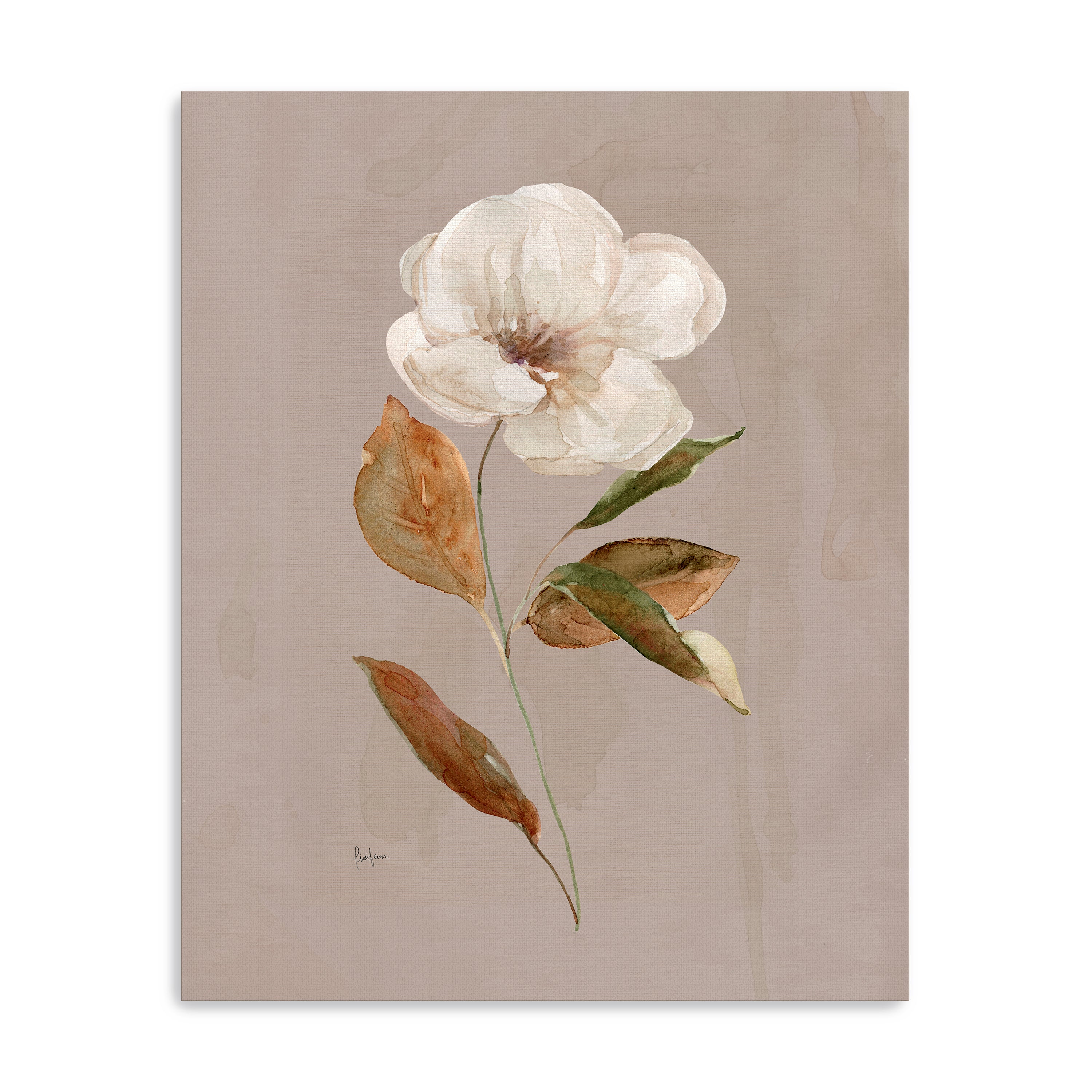 Aged Botanical I Canvas Giclee