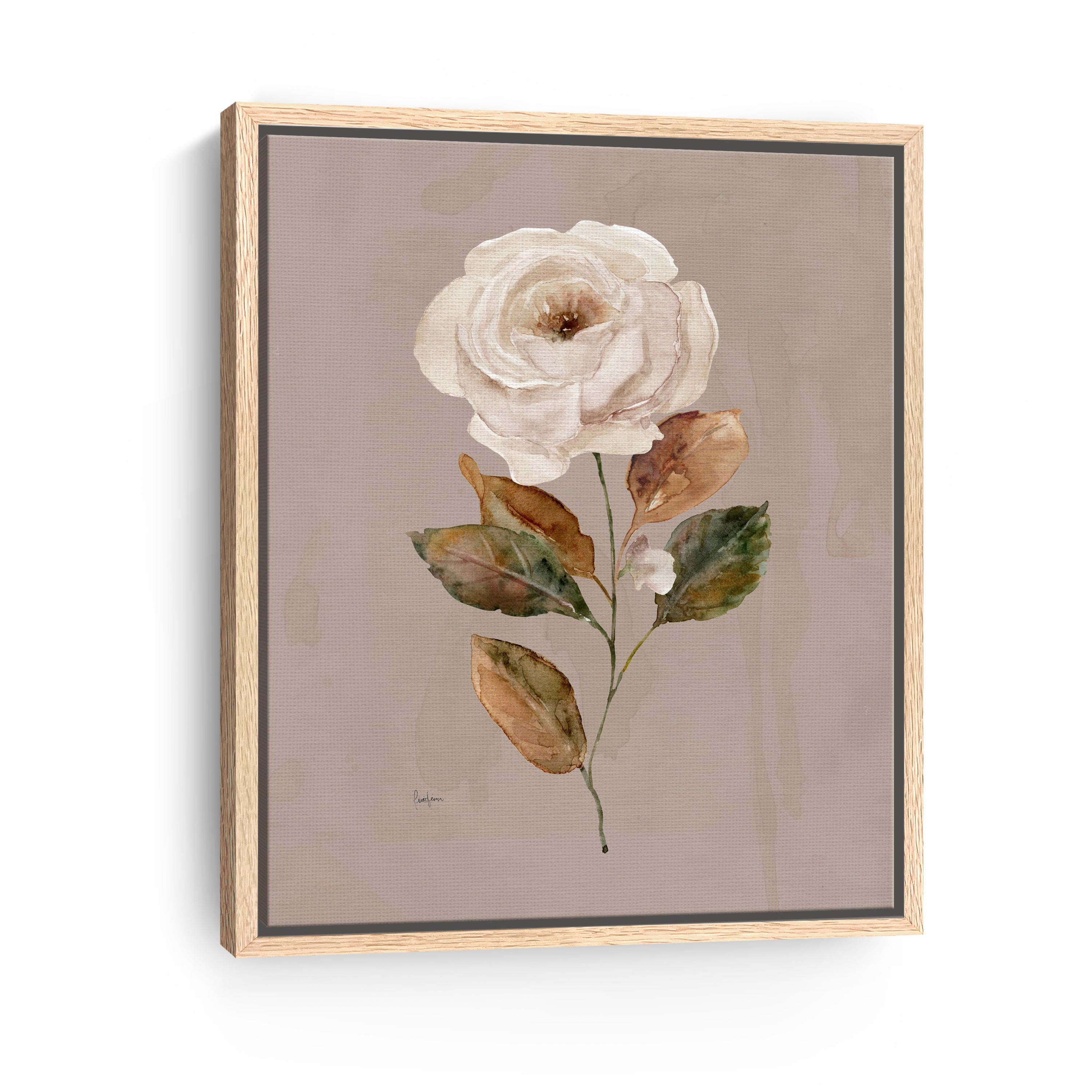 Aged Botanical II Canvas Giclee