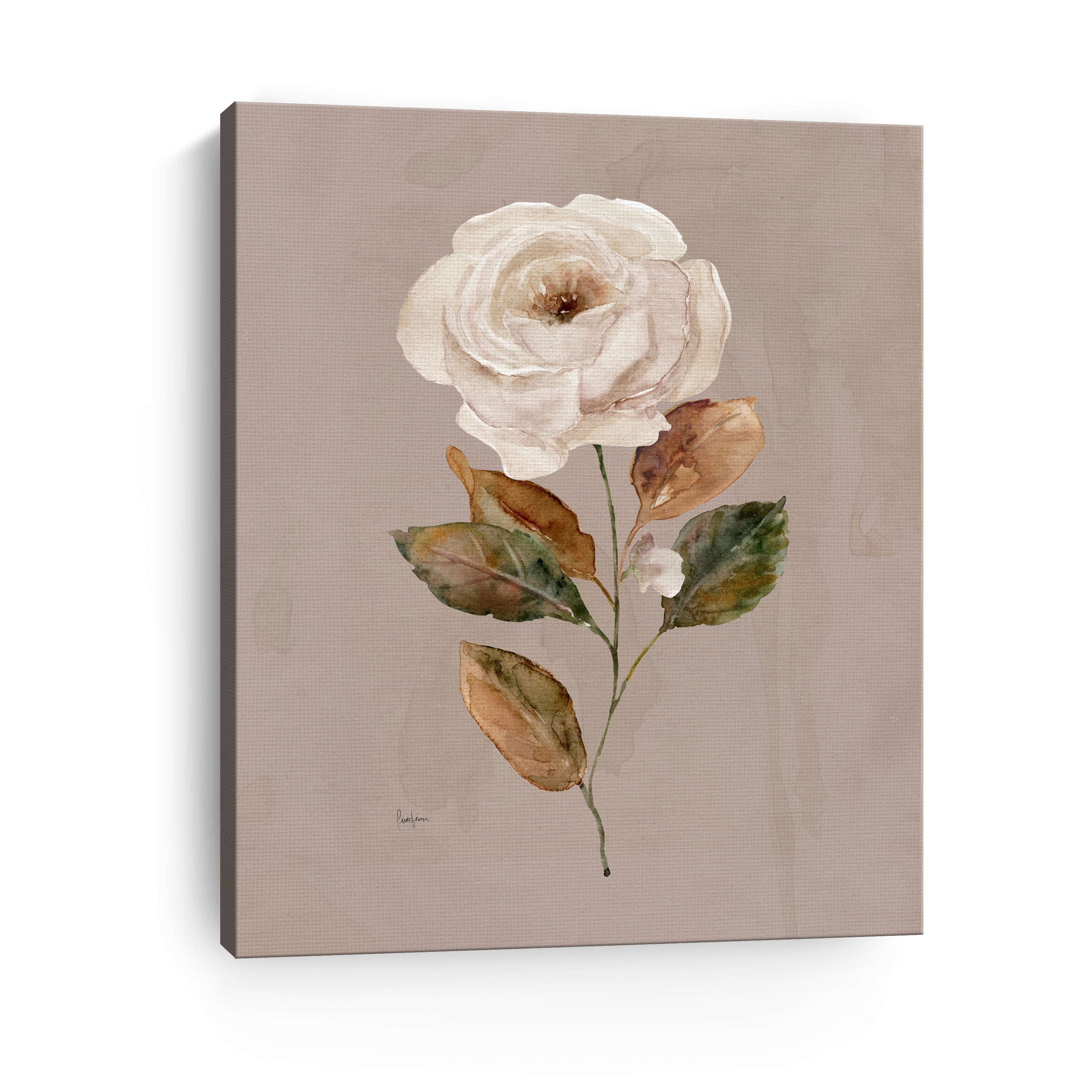 Aged Botanical II Canvas Giclee
