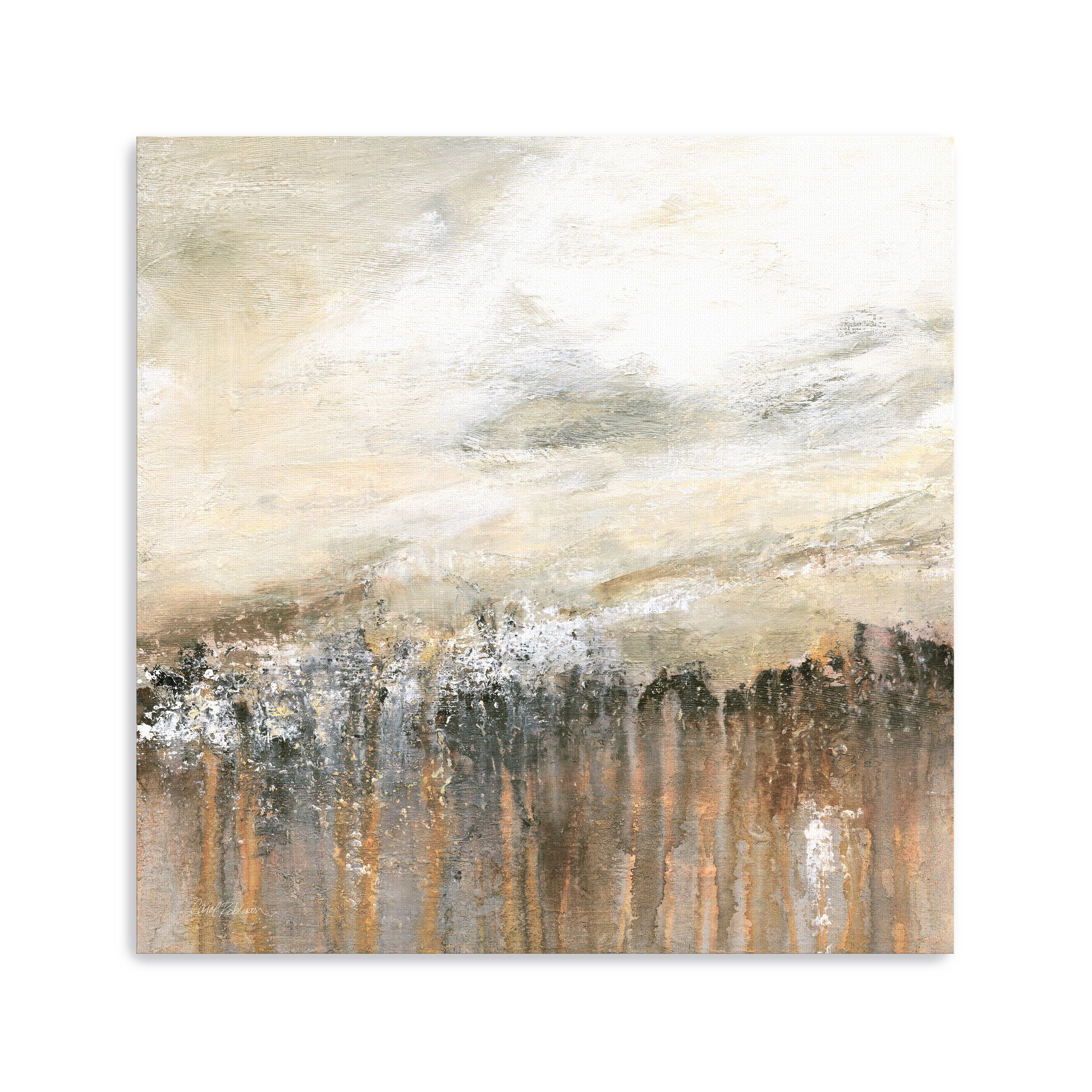 Storm Front Canvas Giclee