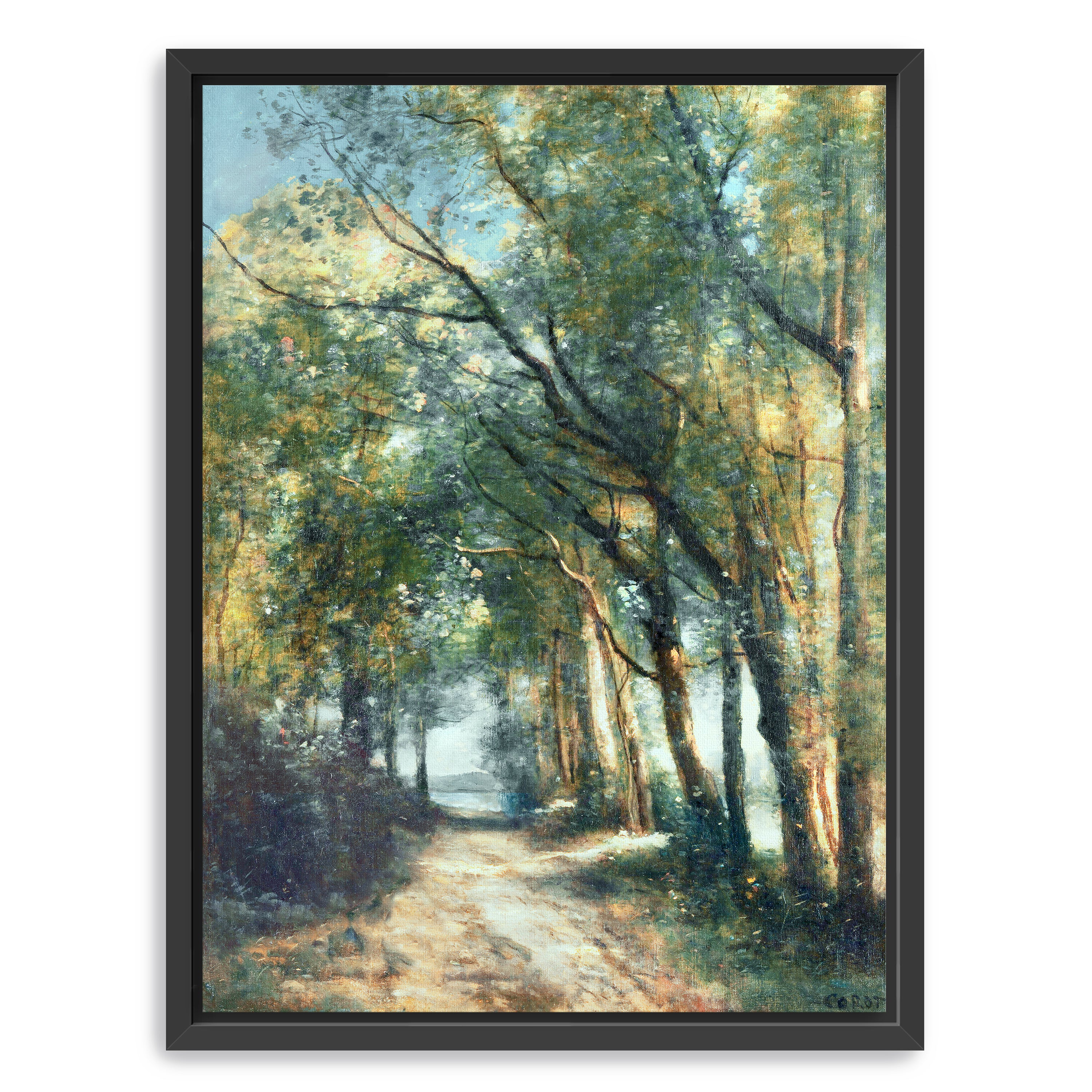 Lane Through the Trees Canvas Giclee