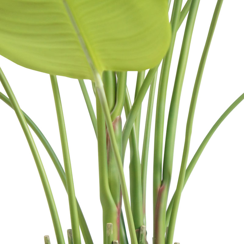 Faux Bird of Paradise with Pot, 8 ft